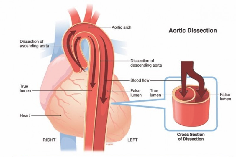 fine woodworking store				