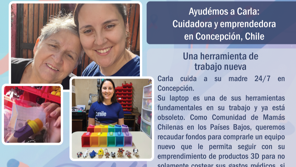 Ayuda a Carla: Cuidadora y emprendedora en Concepción, Chile photo