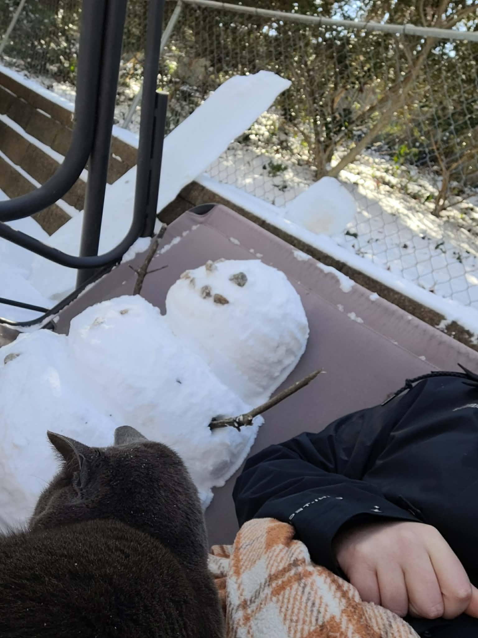 Help Cameron Care for Beloved Feline Friend Tom! campaign photo, 7 of 8