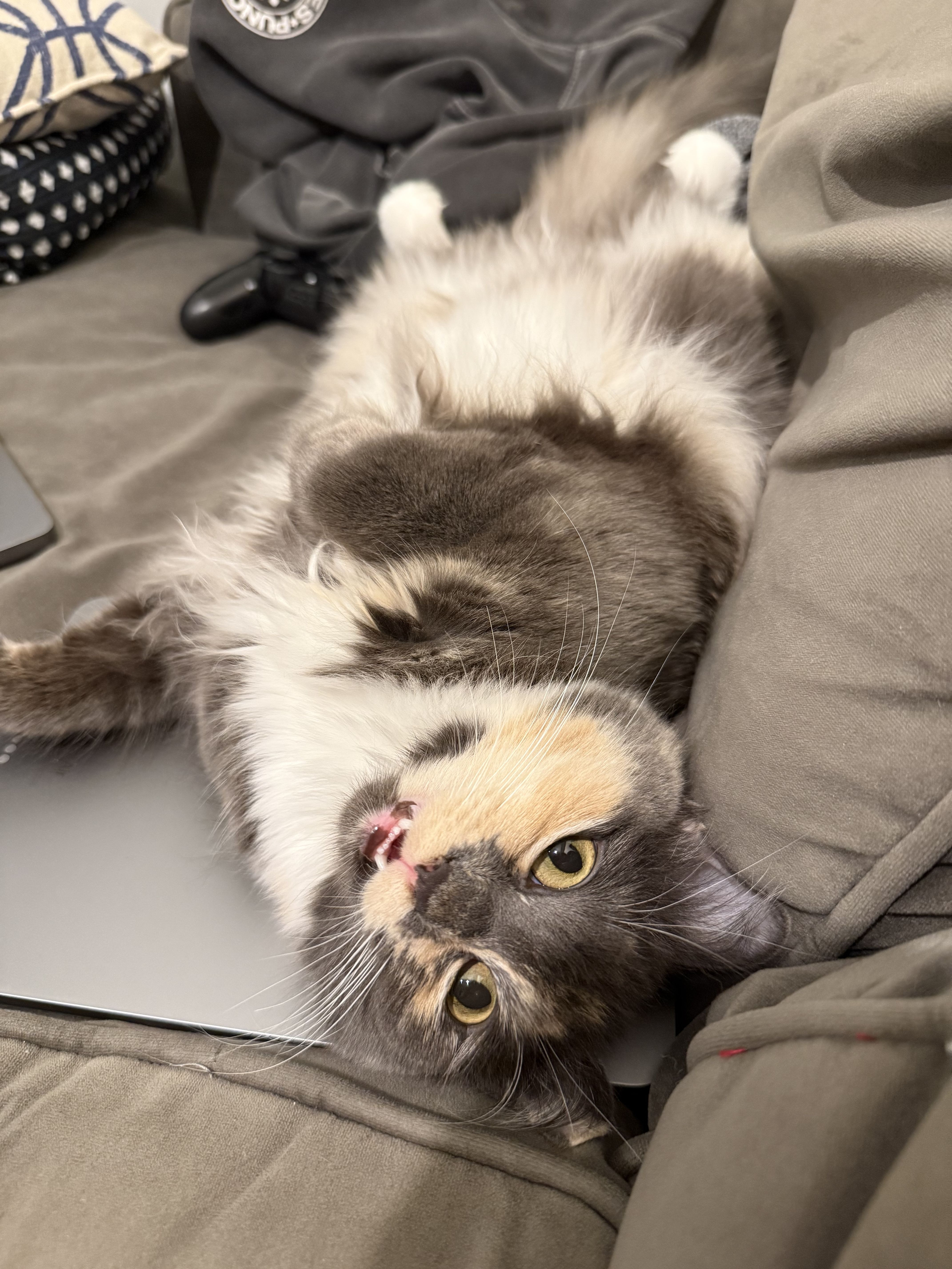 Help Sesame Get Lifesaving Heart Surgery campaign photo, 4 of 8