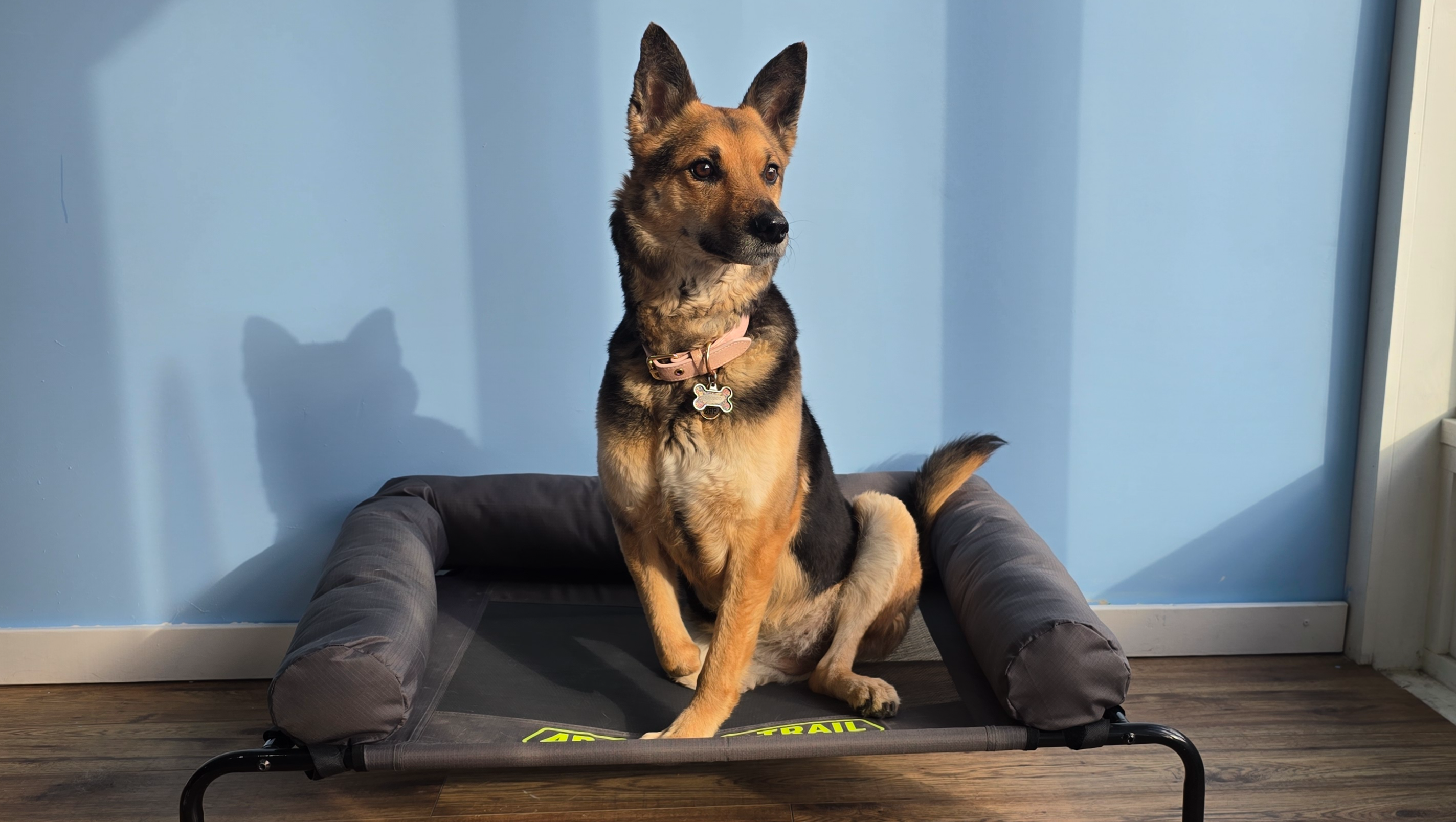 BooBoo memorial fund - our special brave girl photo