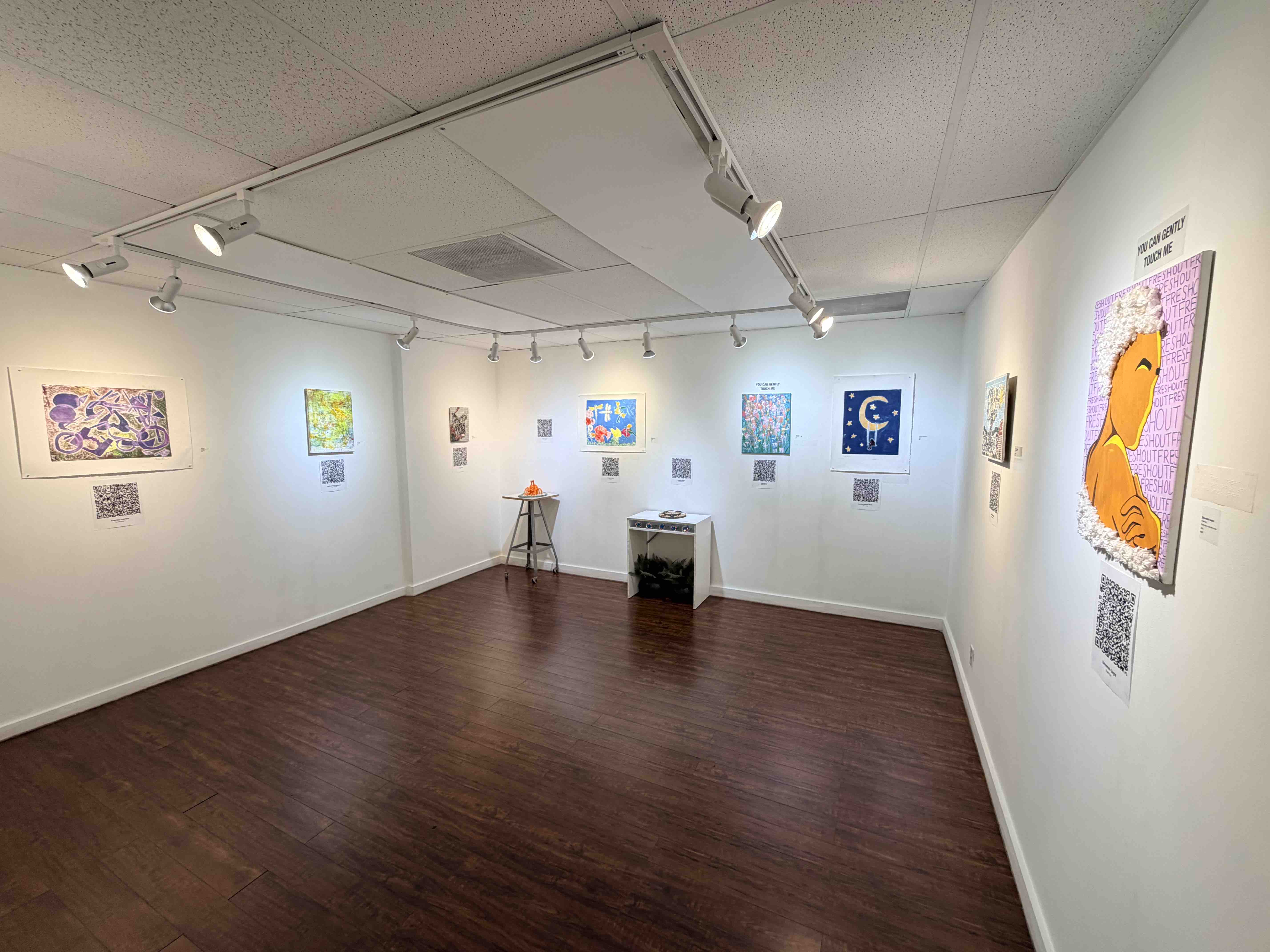 Blind & Visually Impaired Art Exhibition Funding Needed campaign photo, 10 of 12