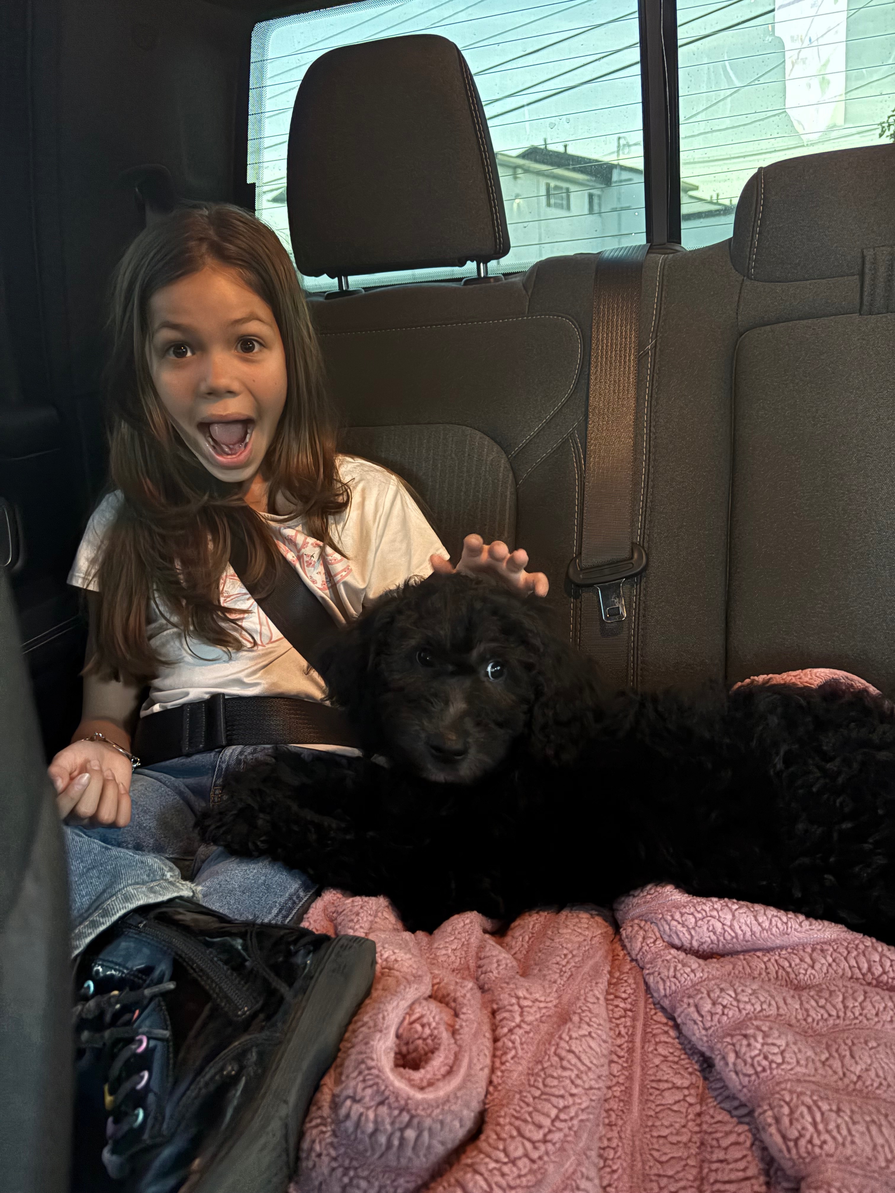 Help Train Oreo as Emma’s Epilepsy Support Dog campaign photo, 2 of 8