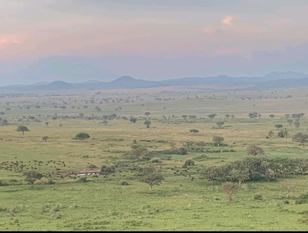 Support Loupa Pius' Wildlife Research in Uganda campaign photo, 4 of 8