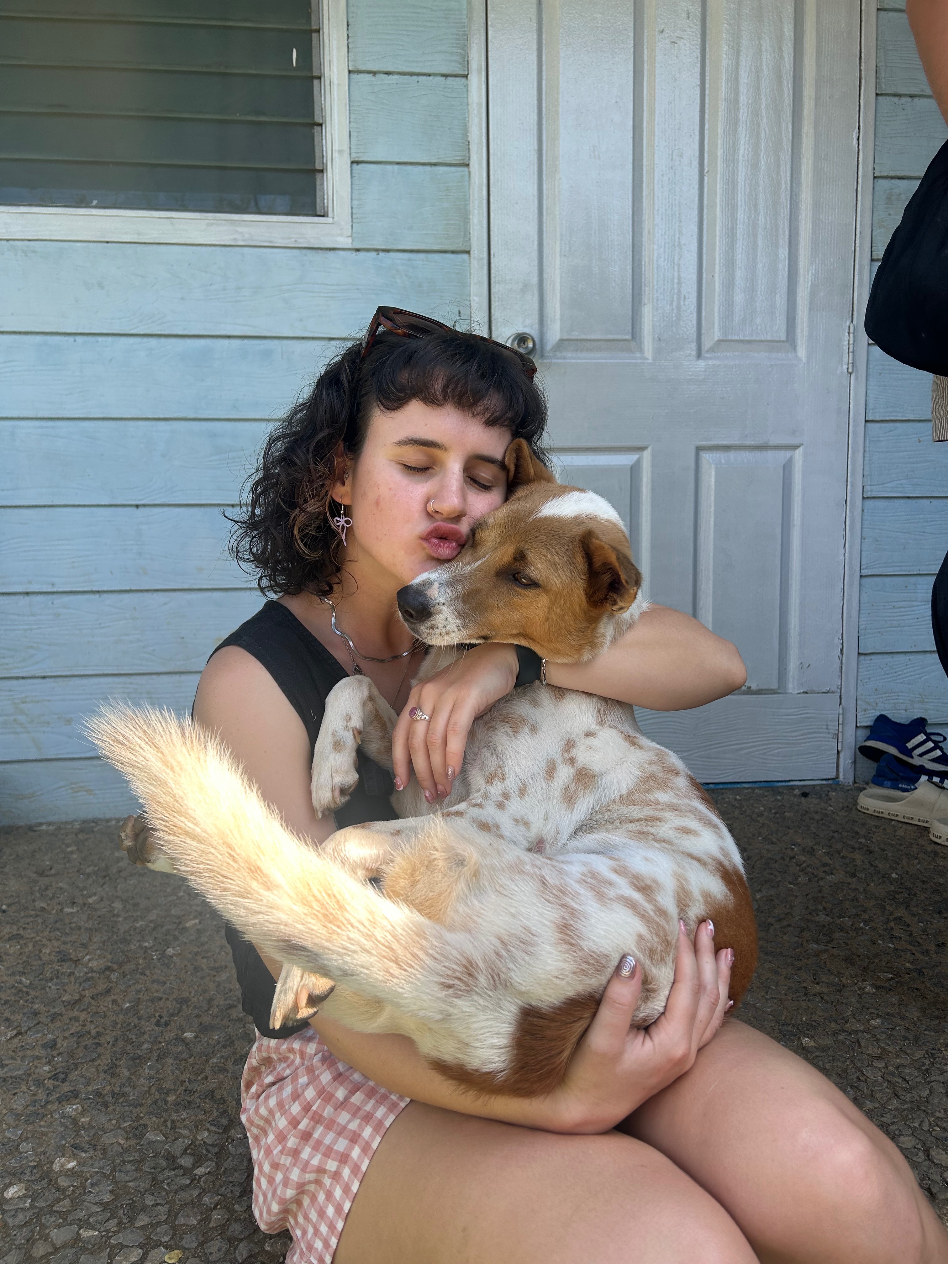 Help us give Som Jûd a forever home!! campaign photo, 6 of 7