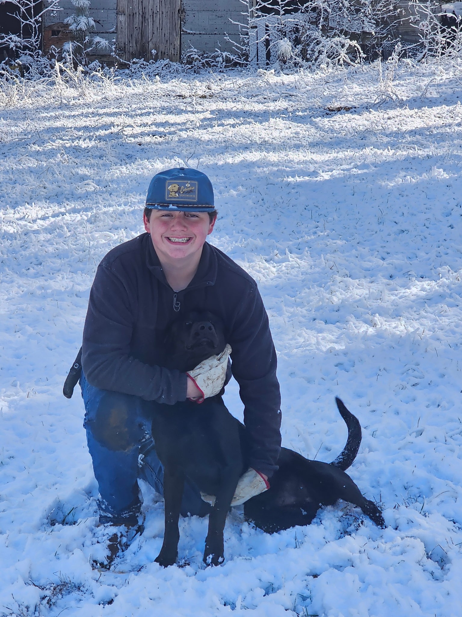 Help Save Brewster: Emergency Surgery Needed campaign photo, 7 of 8
