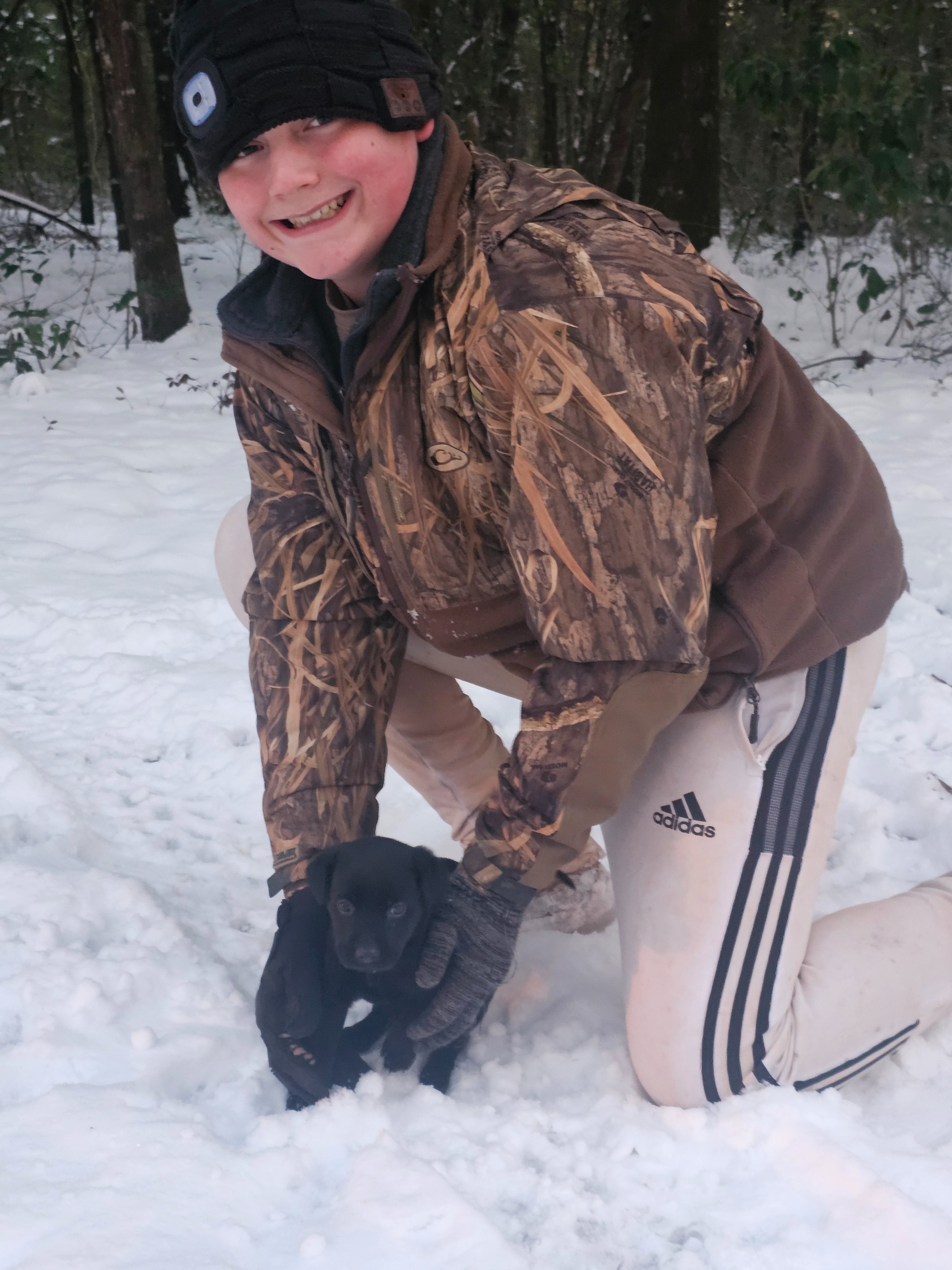 Help Save Brewster: Emergency Surgery Needed campaign photo, 4 of 8