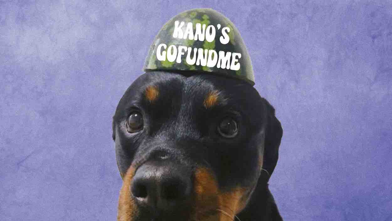 Help Kano Fight his Tumors