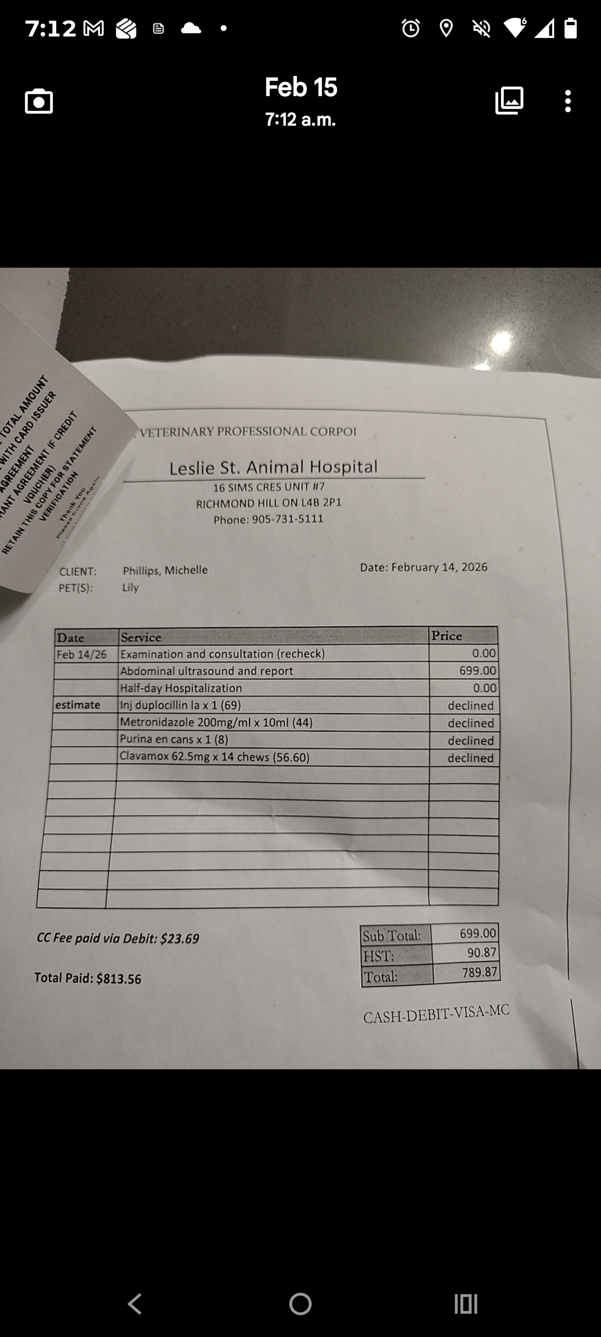 Urgent Vet Care Required Please help Lily campaign photo, 5 of 7