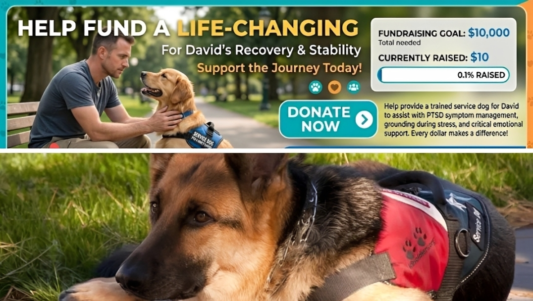Help Me Train a New Service Dog After Losing My Lifeline photo