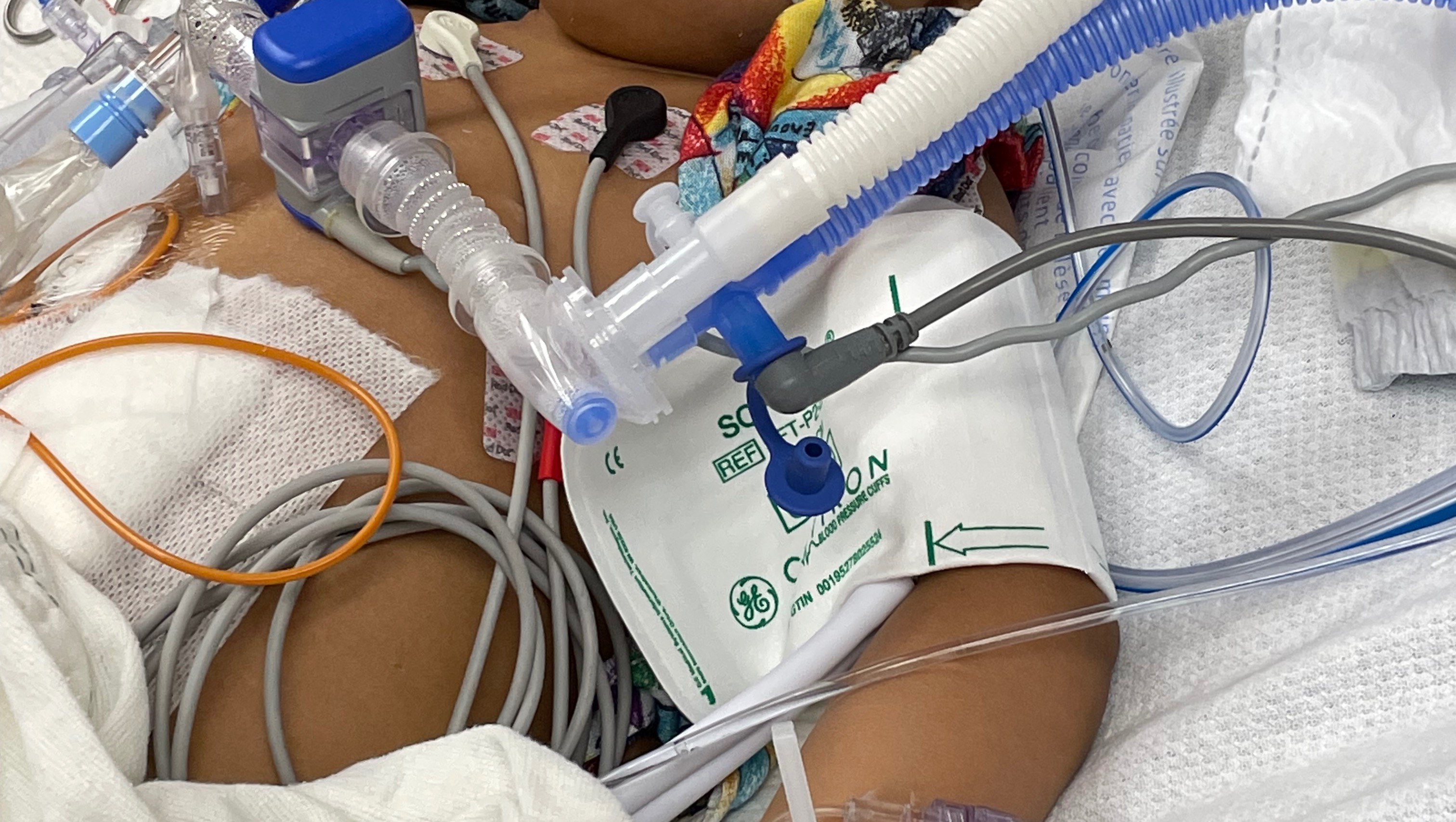 Fundraiser by Ashley Smith : Support for Akima’s Healing Journey