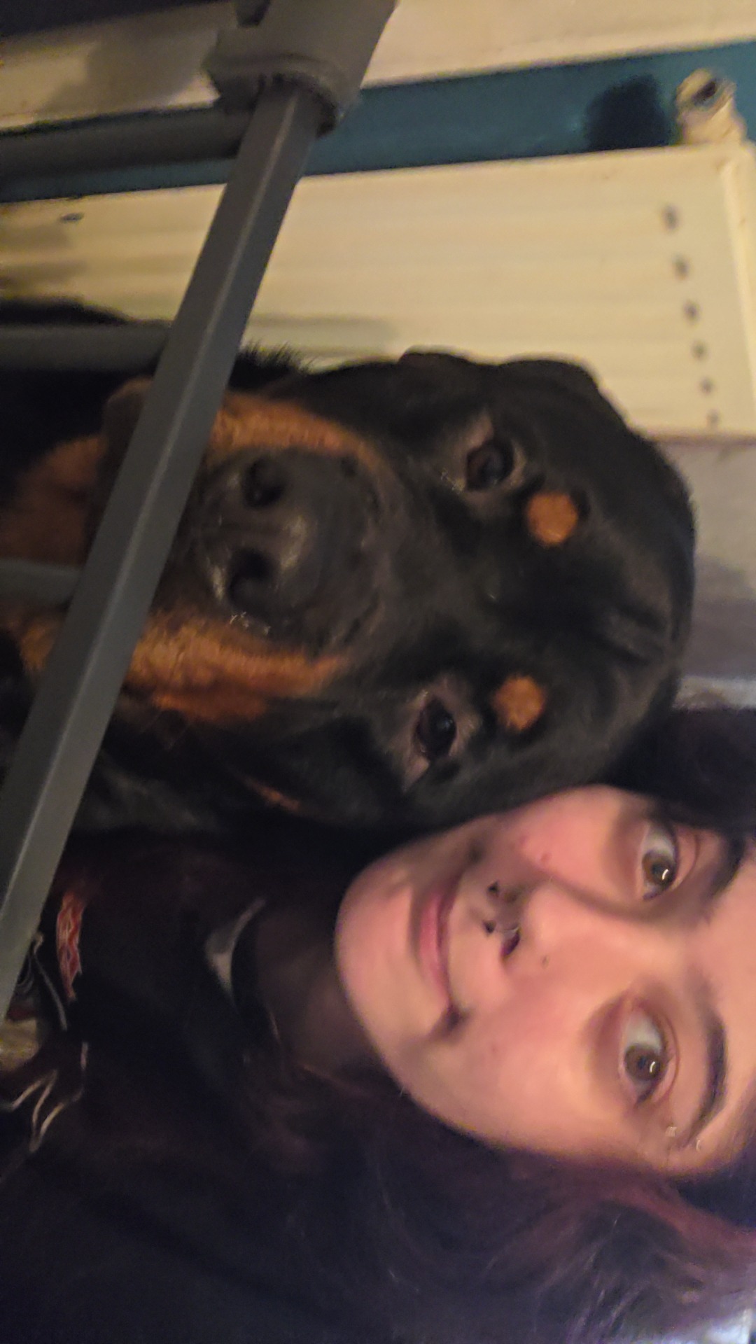 Our loving pup to get the surgery he needs for his knee. campaign photo, 2 of 4