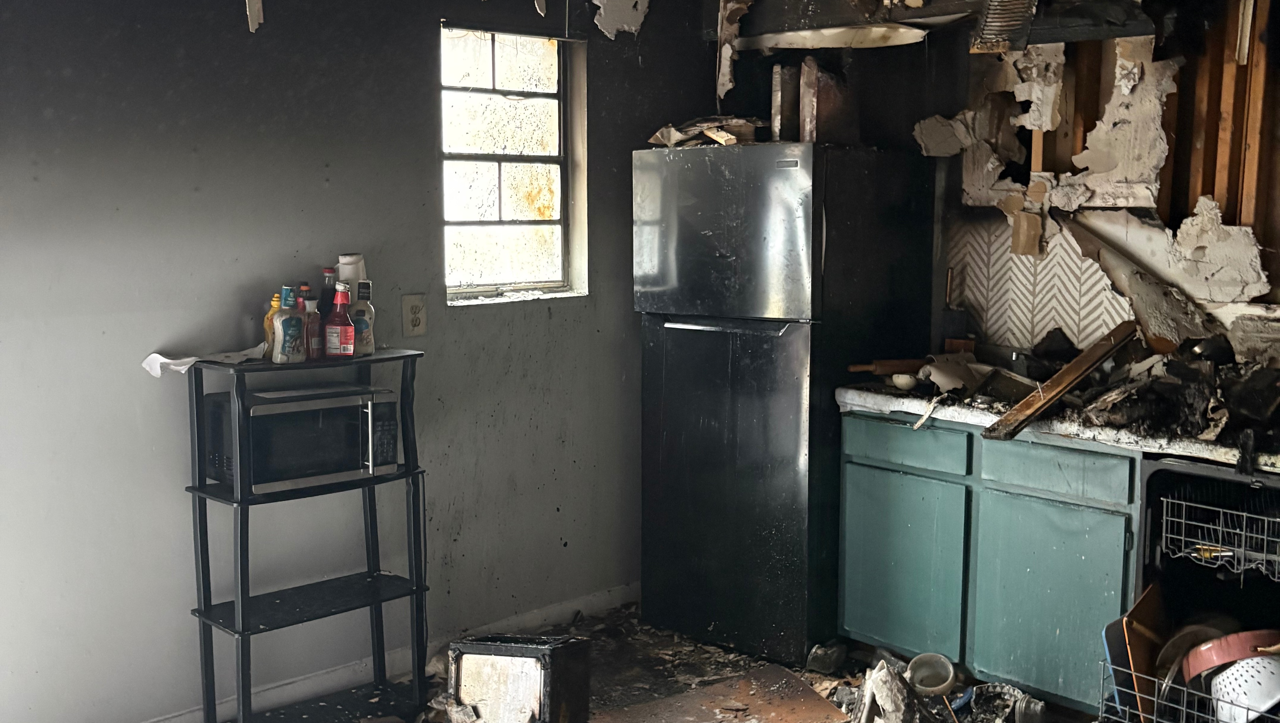 Support Dee and Xavier's Journey to Recovery photo