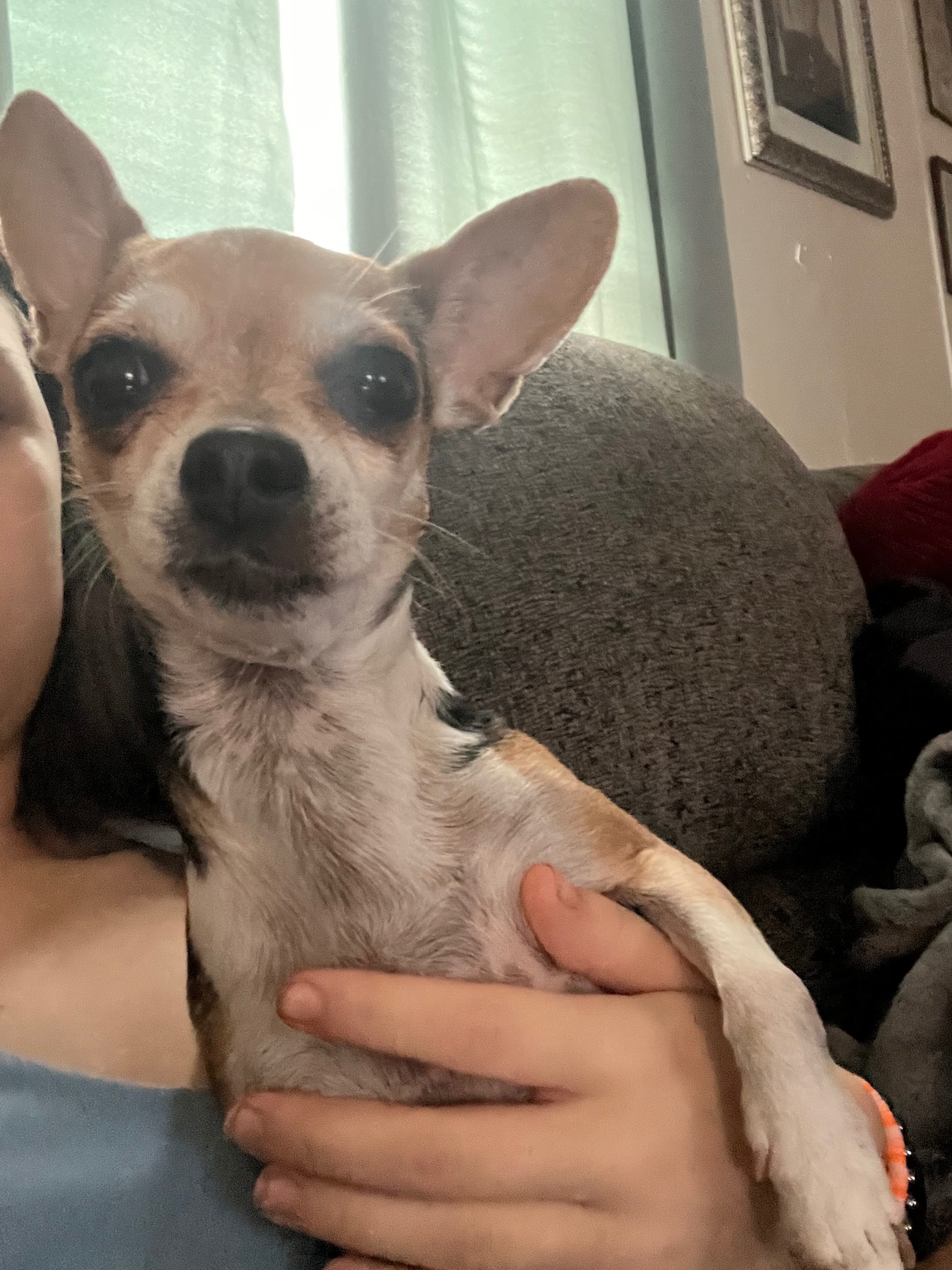 Urgent Help Needed to Prevent Eviction campaign photo, 2 of 4