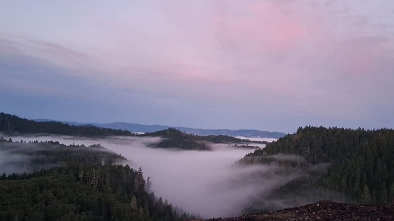 Help me gain support for an apartment photo