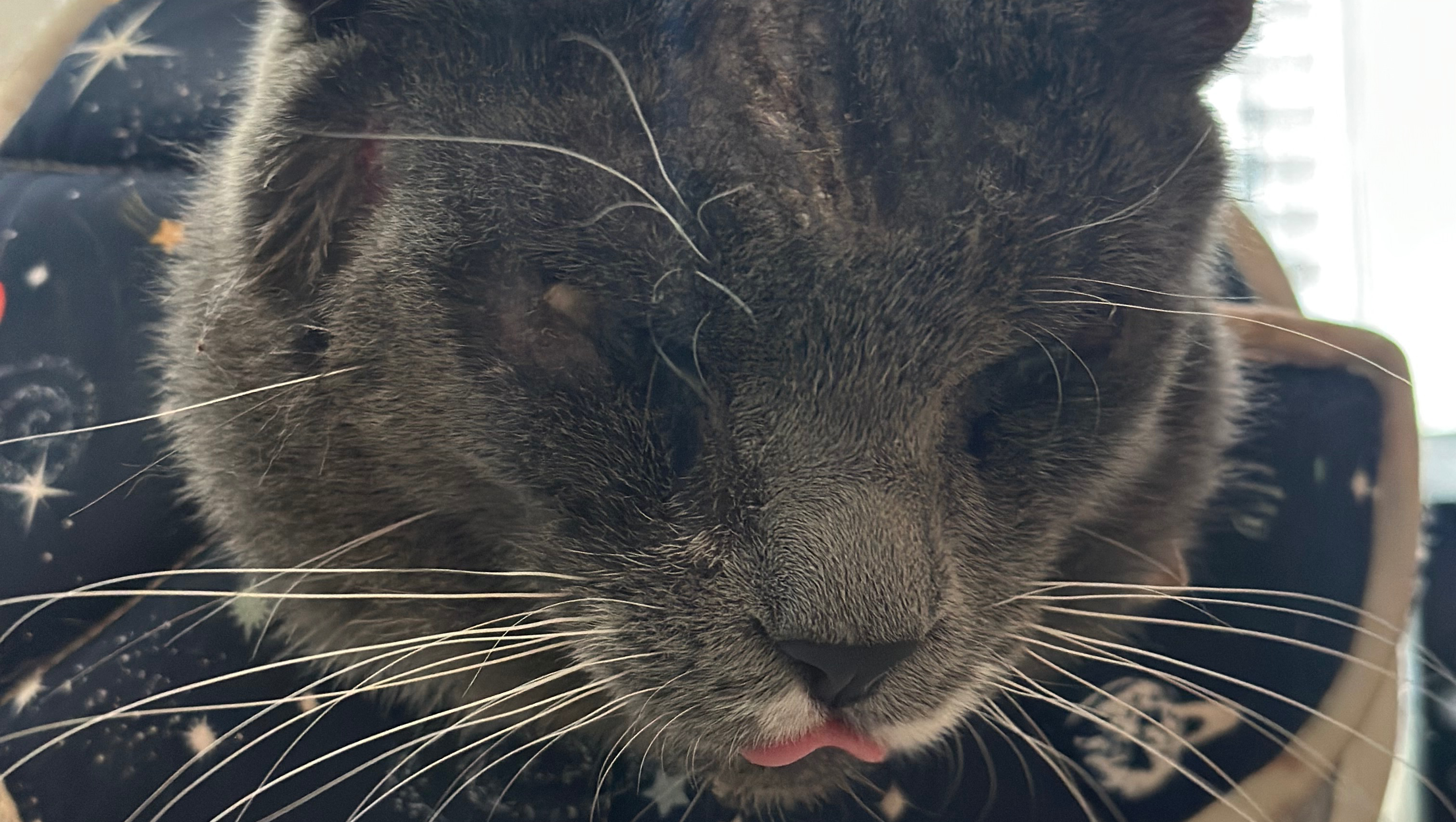 Help Tyler Get the Care He Needs photo