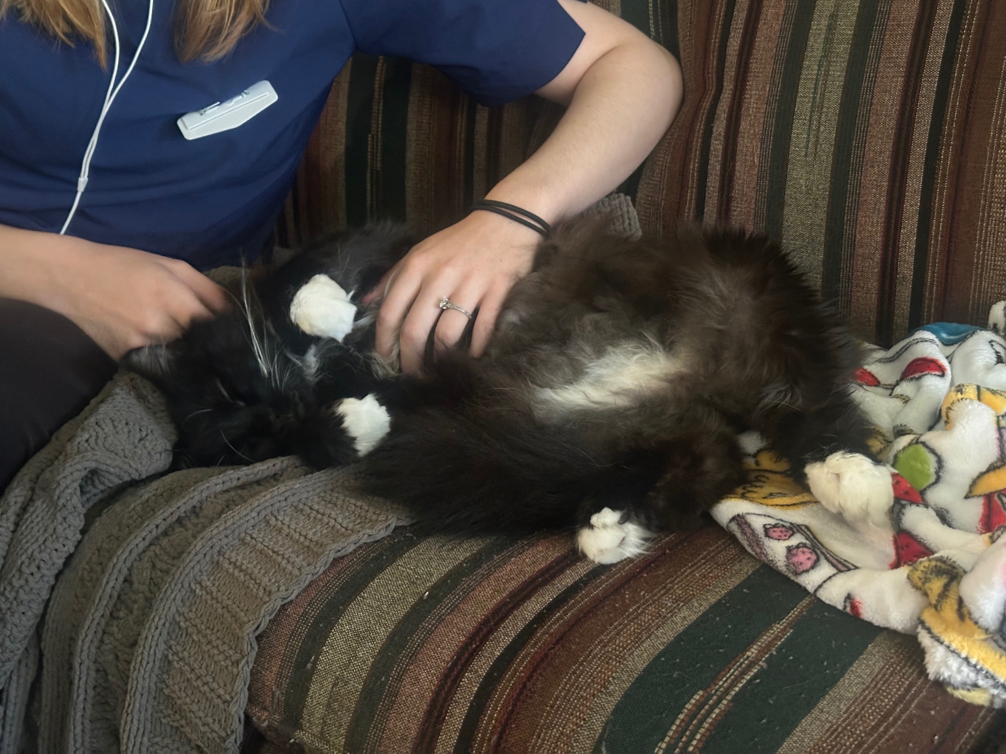 Support Gooby's Medical Journey campaign photo, 4 of 8