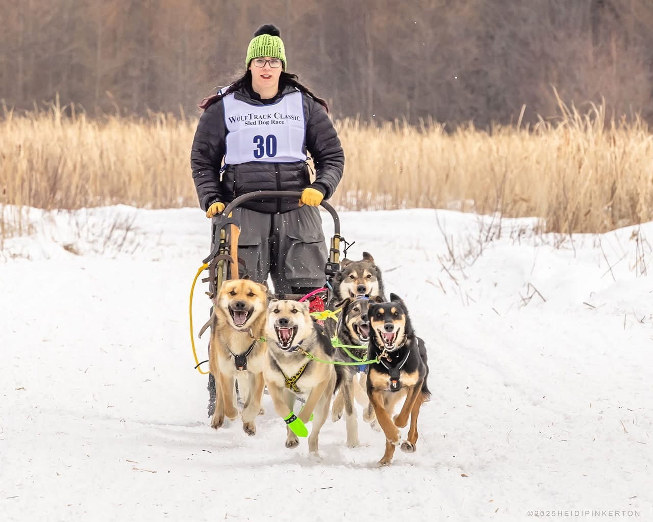 Fundraiser by Taylor Squires : Help TJ Upgrade Chasing The Wolves' Sled