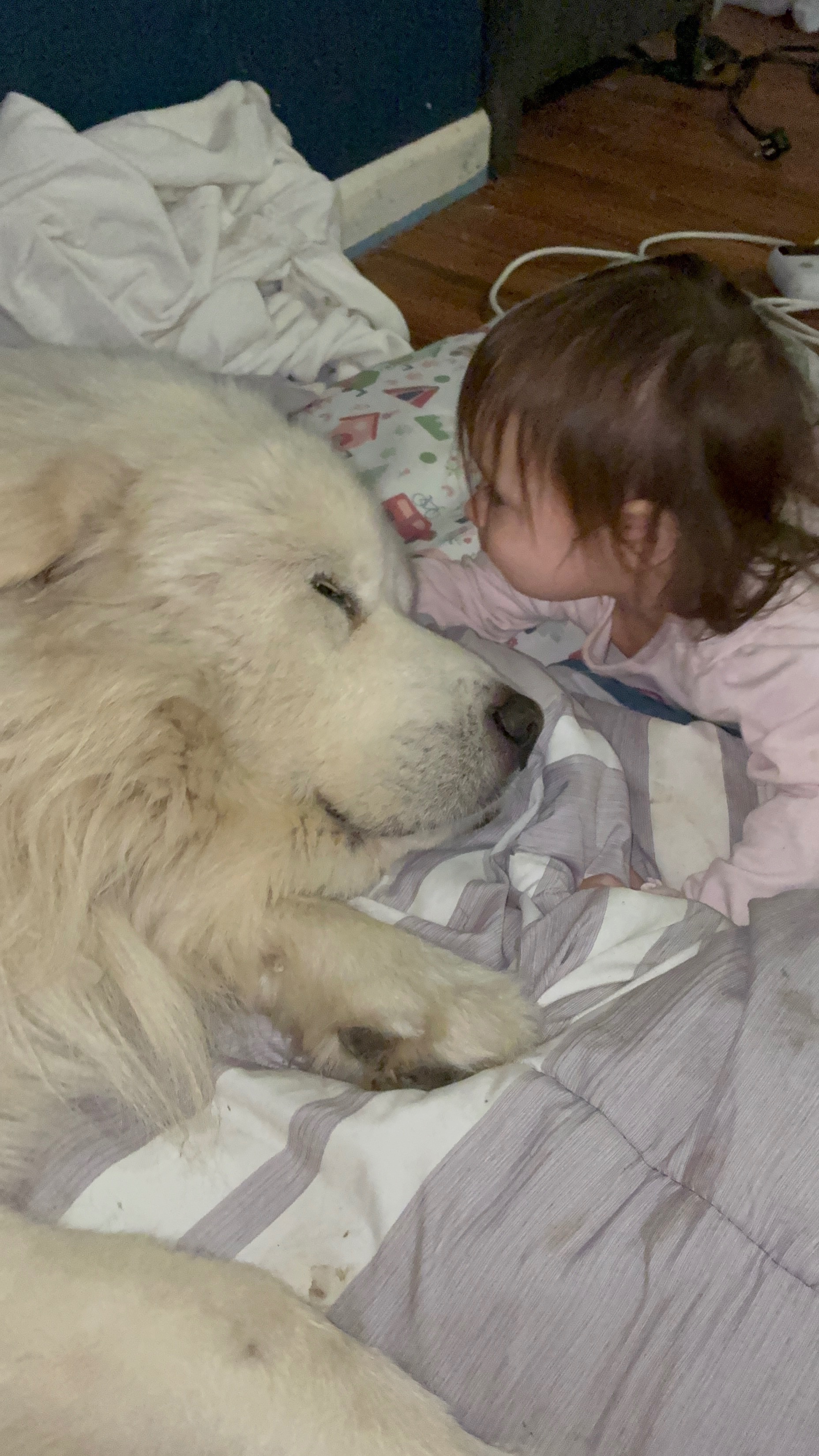 Fundraiser for Robert Maddox by Danyelle Maddox : Help Us Save Our