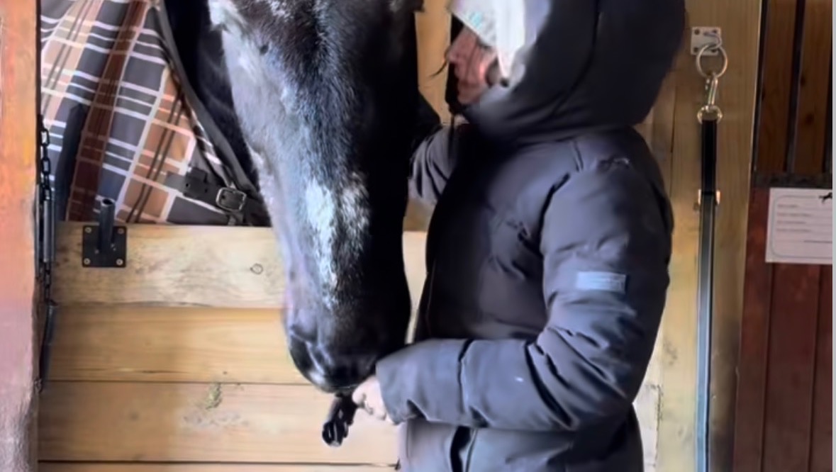 Save my Sanctuary photo