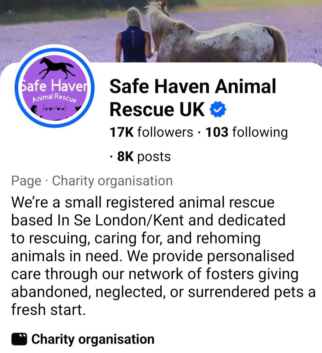 Safe Haven Animal Rescue  campaign photo, 4 of 5