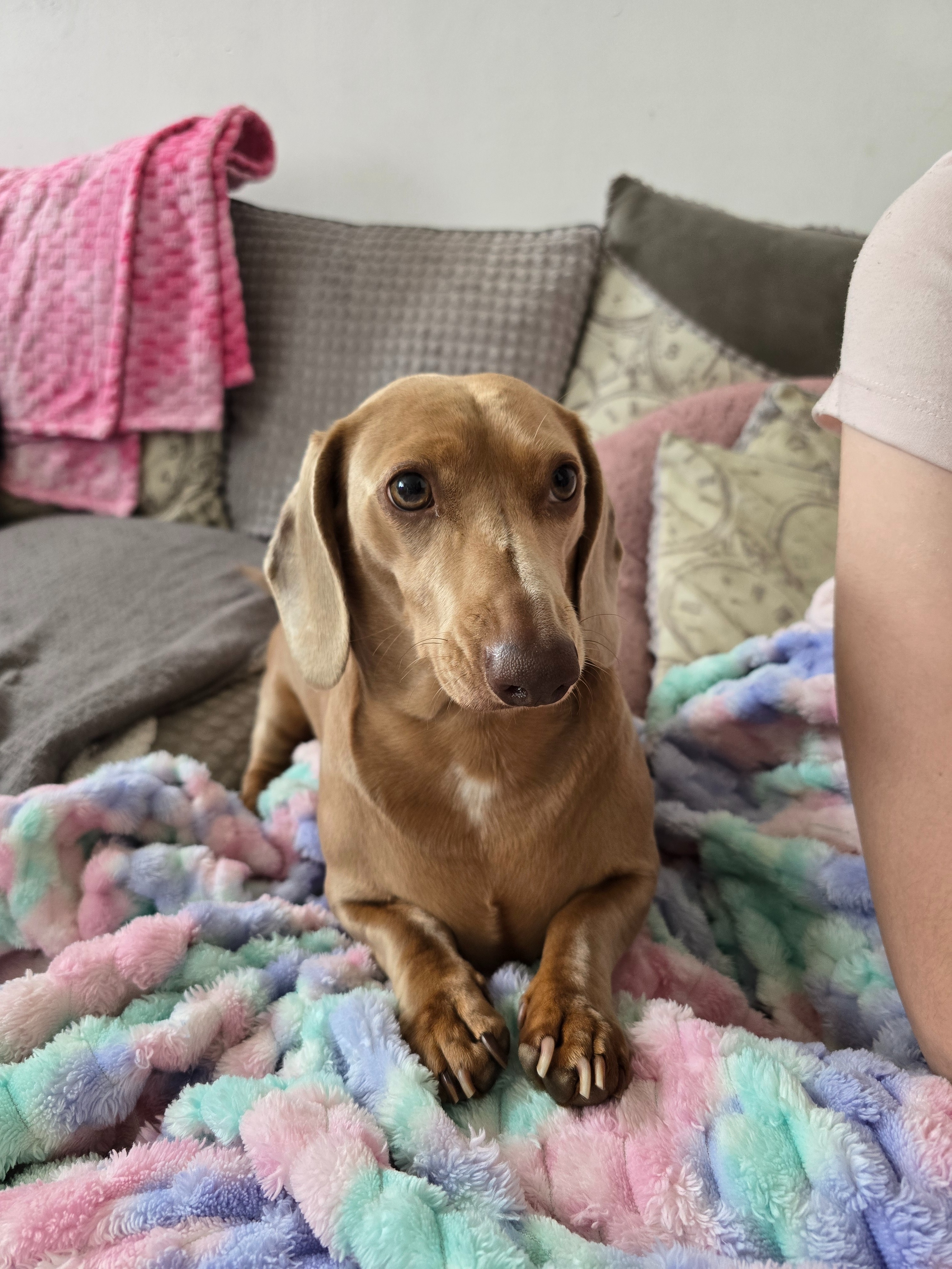 Help Mum with her medical requirements campaign photo, 2 of 5