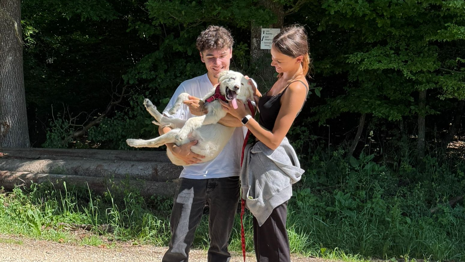 Fundraiser image