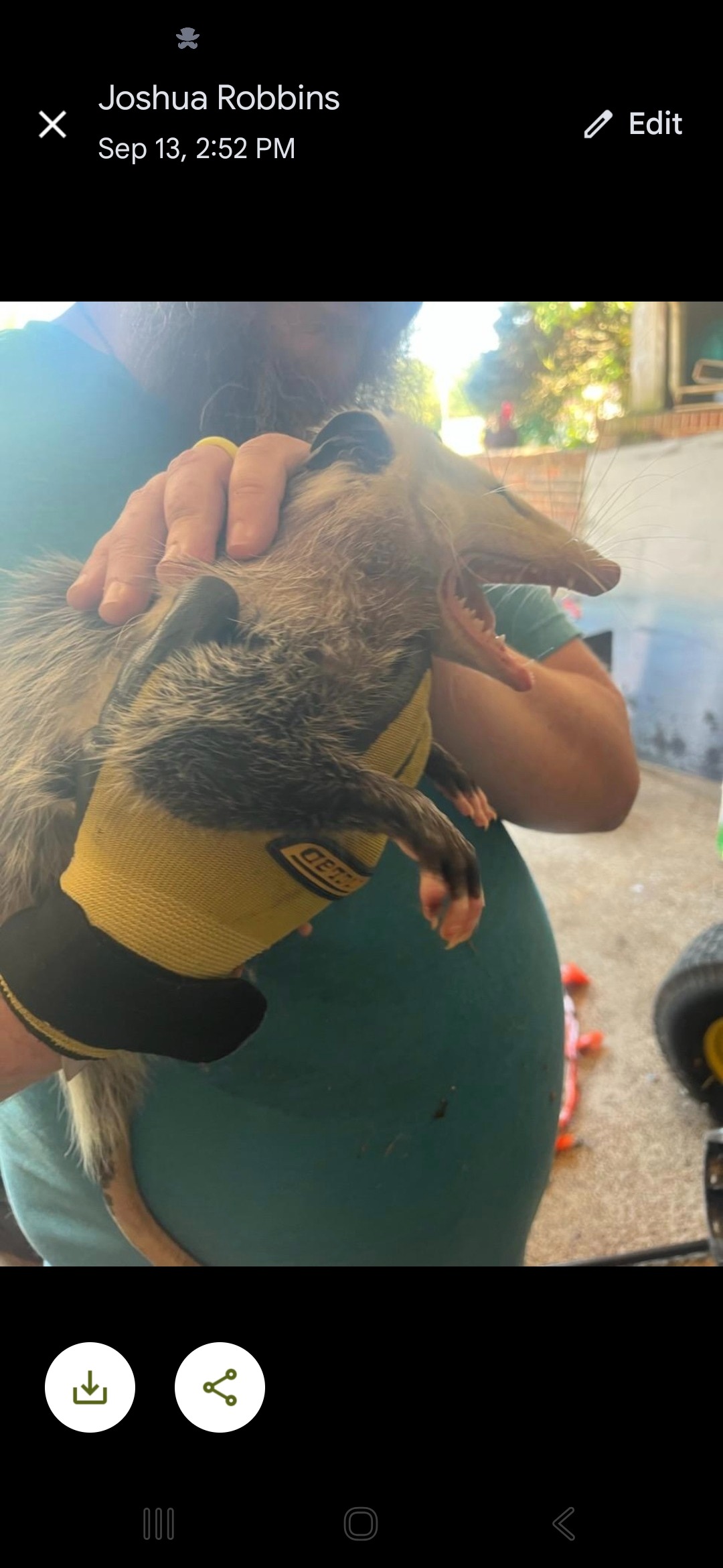 Support for Daniel's Recovery After Opossum Bite campaign photo, 7 of 8