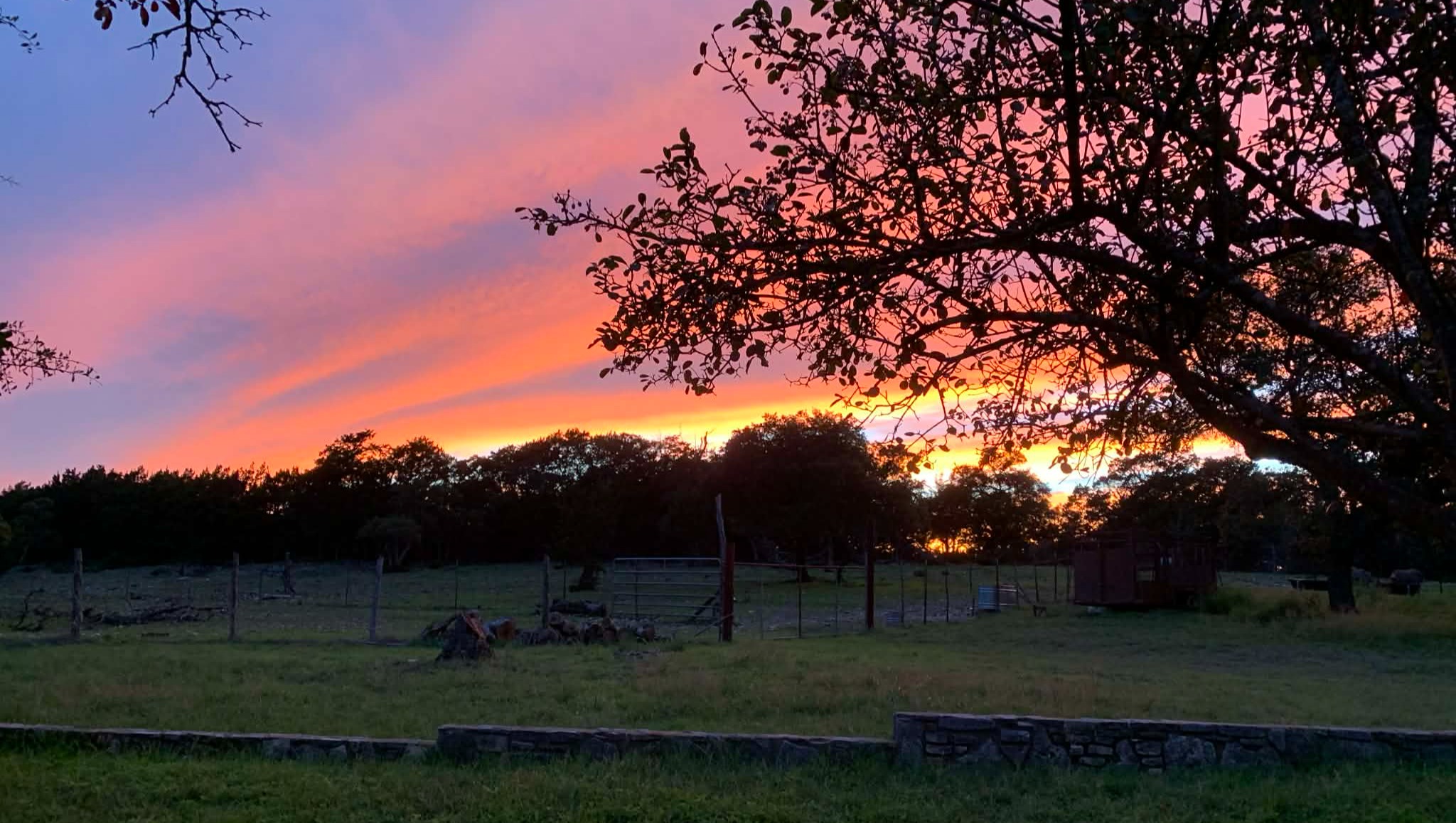 Save Our Family Home, Farm, and Native Texas Land  photo