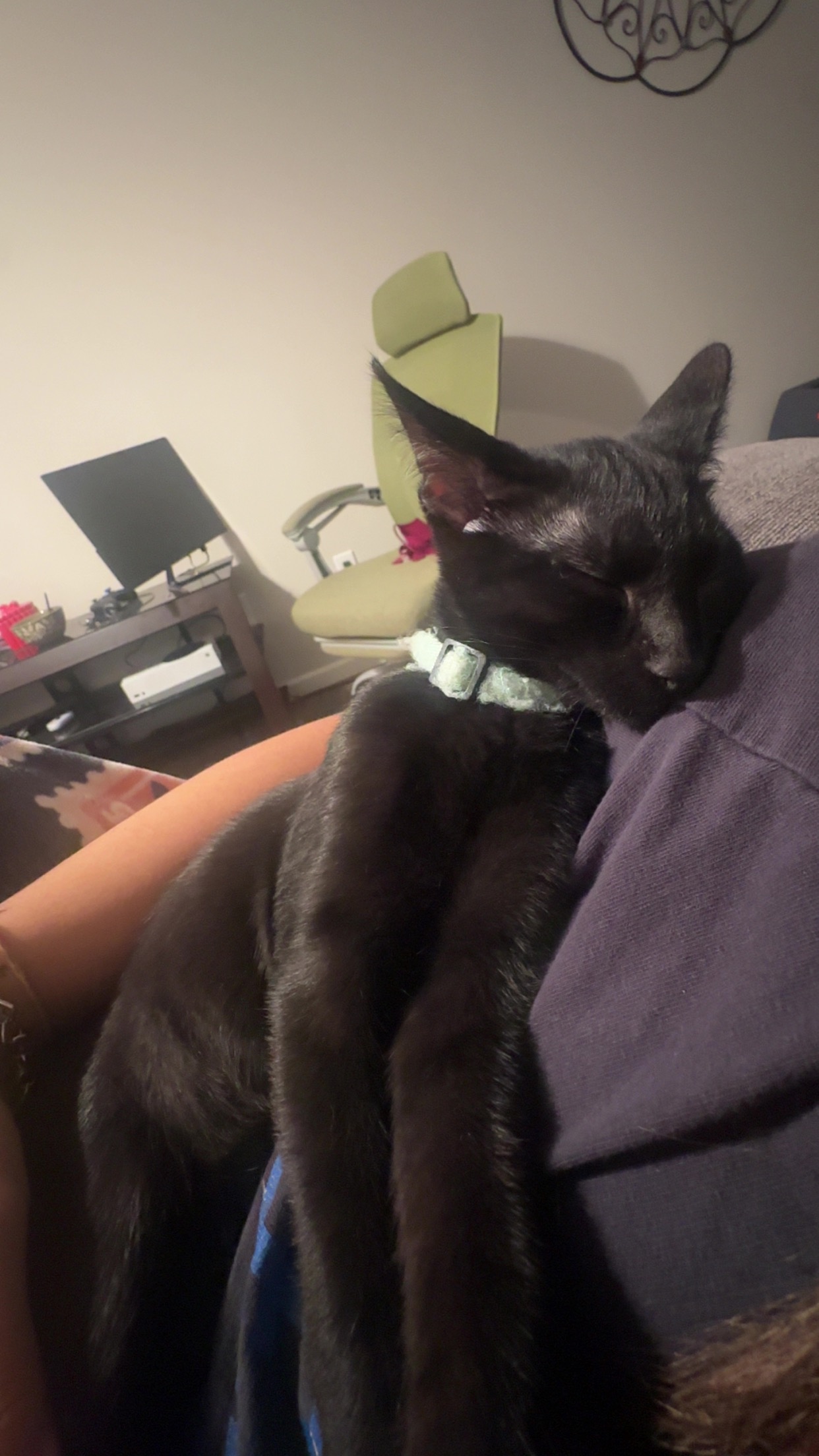 Help Freya Get Life-Saving Surgery campaign photo, 5 of 6