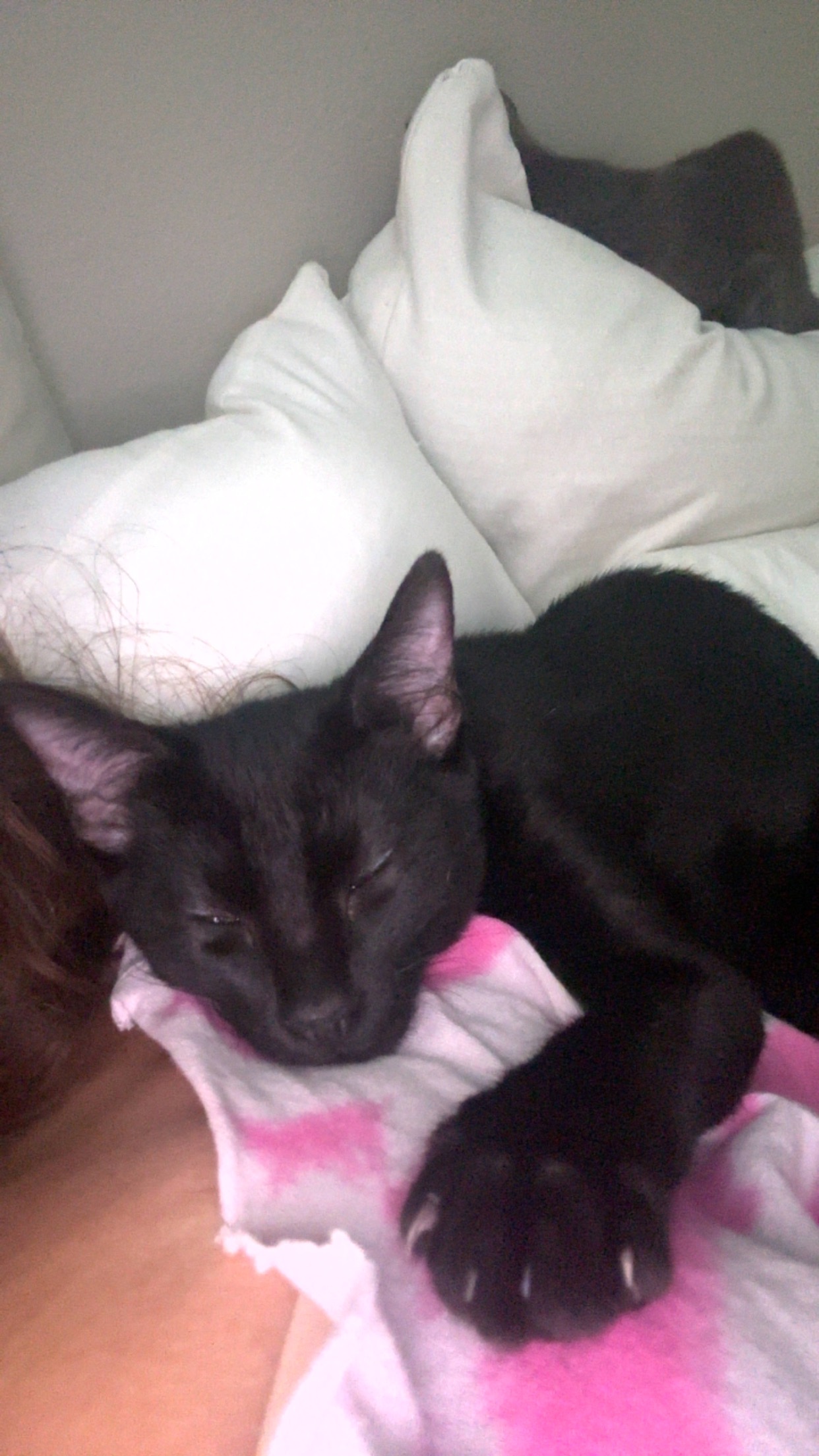 Help Freya Get Life-Saving Surgery campaign photo, 2 of 6