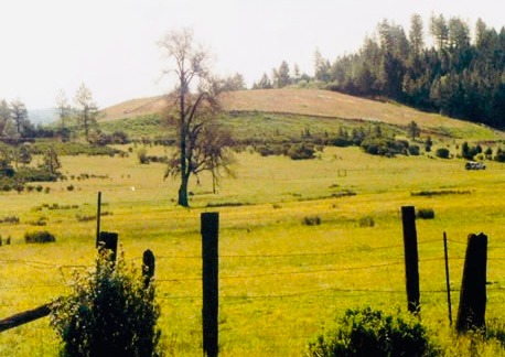 Help Launch Laytonville's Community Biomonitoring Program campaign photo, 5 of 8