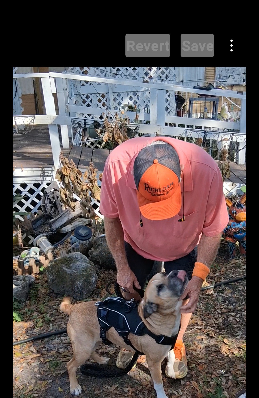 Help Boomer Heal in Memory of Andrew campaign photo, 2 of 4