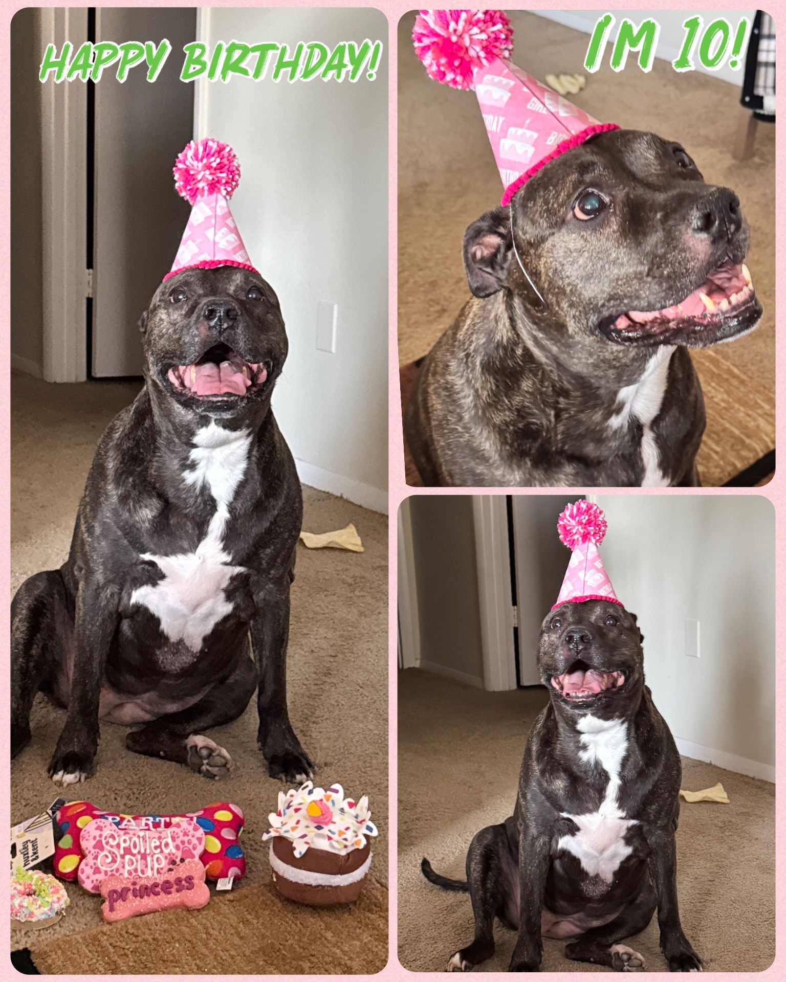 Help Dakota Get the Care She Needs campaign photo, 2 of 8