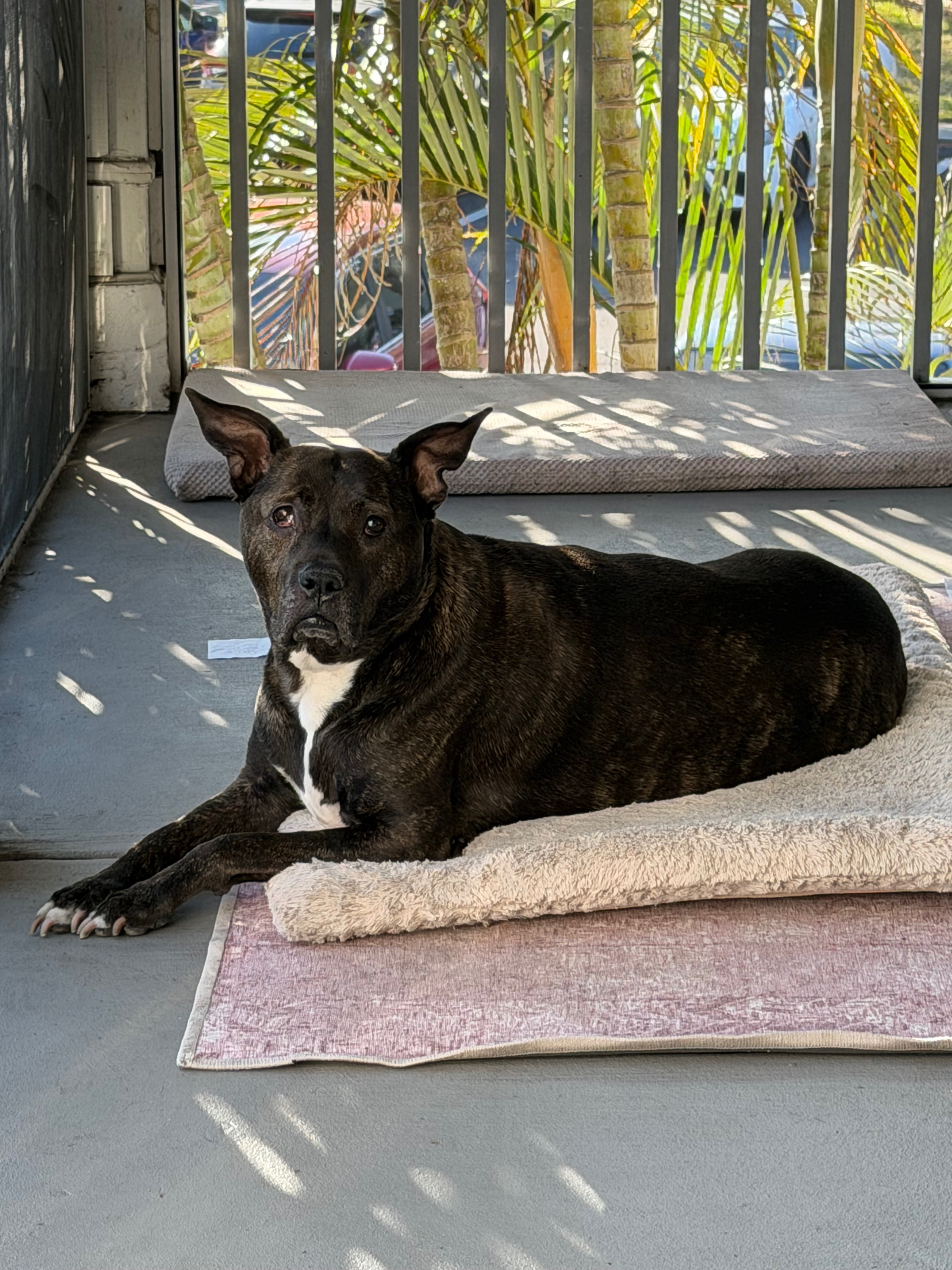 Help Dakota Get the Care She Needs campaign photo, 6 of 8