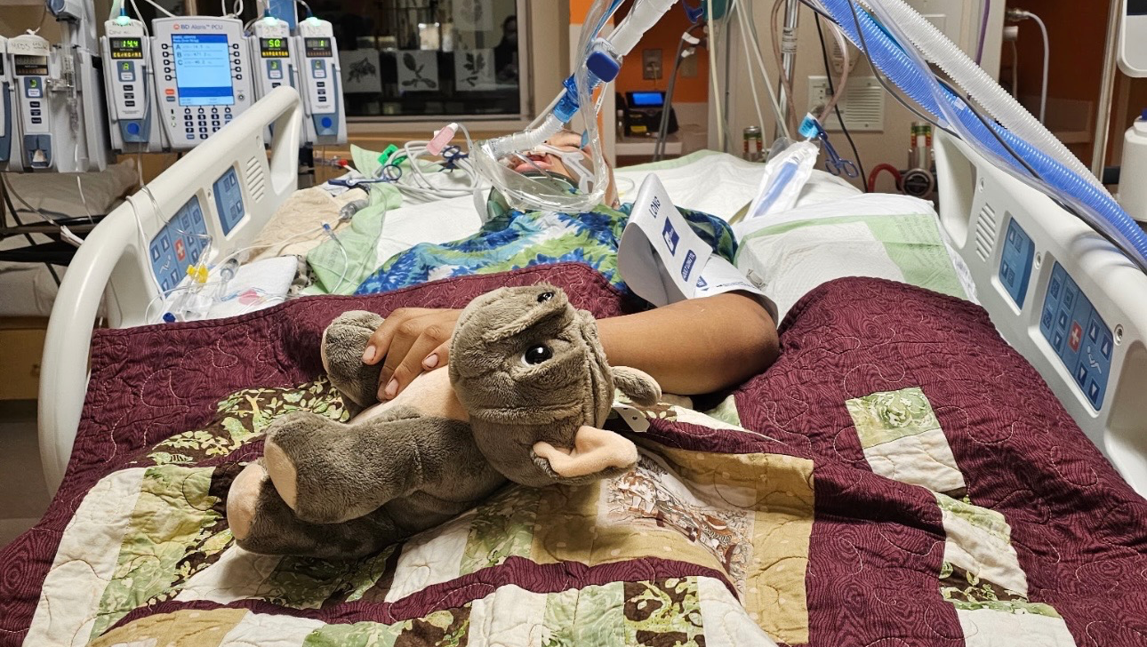 Help Major Clemens and Sarah Through This Crisis