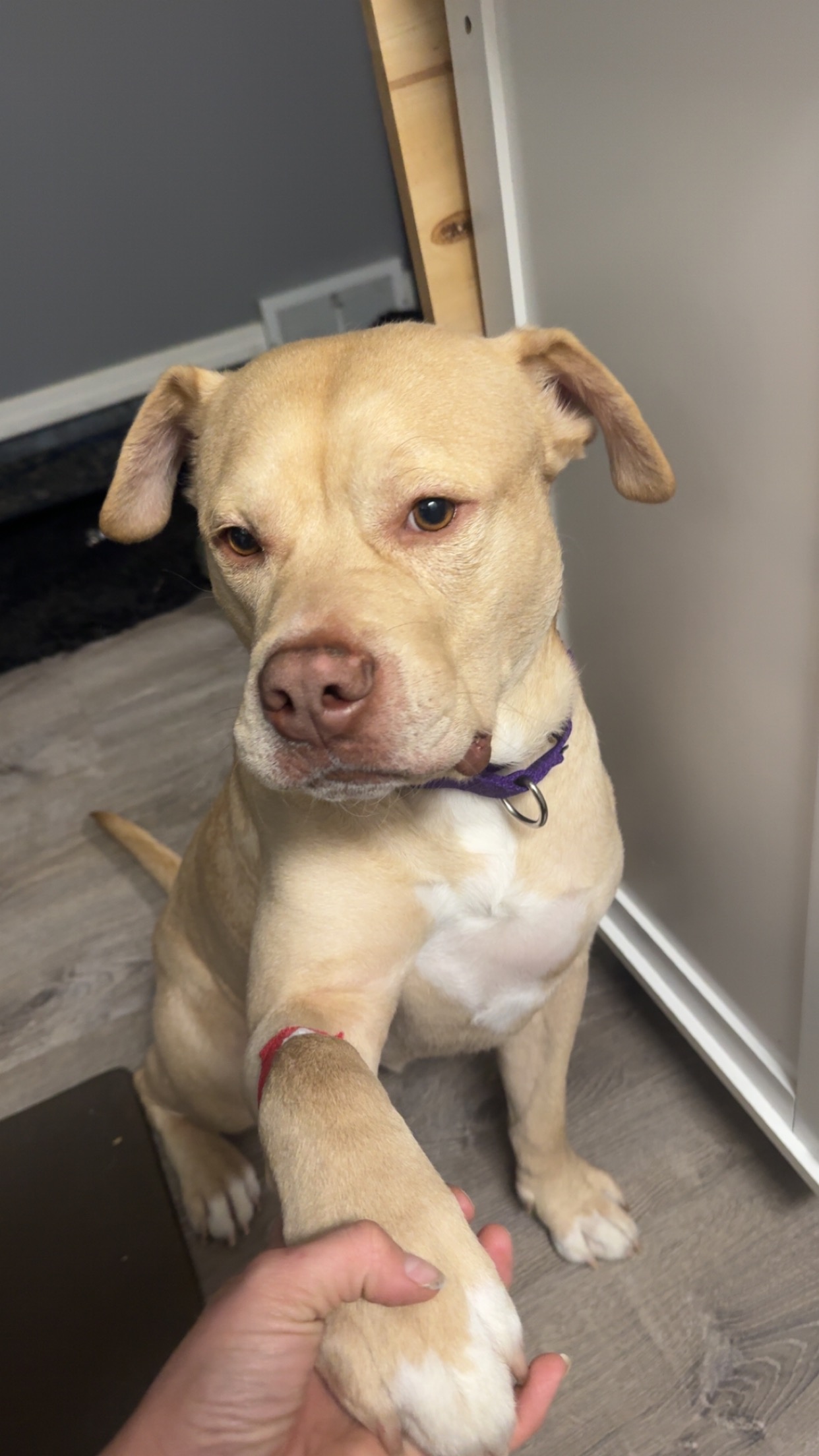 Support Diamond’s Urgent Surgery Needs campaign photo, 2 of 8