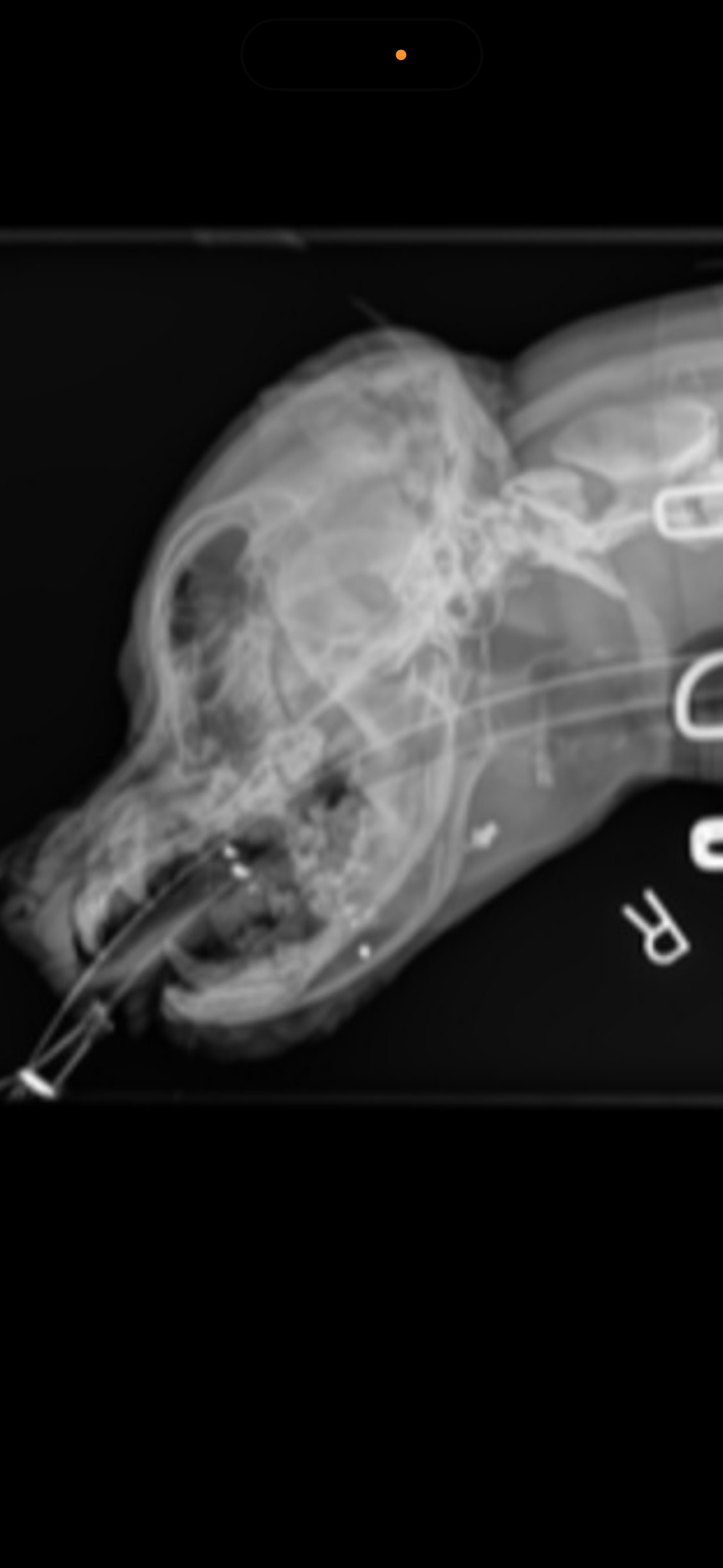 Support Diamond’s Urgent Surgery Needs campaign photo, 4 of 8
