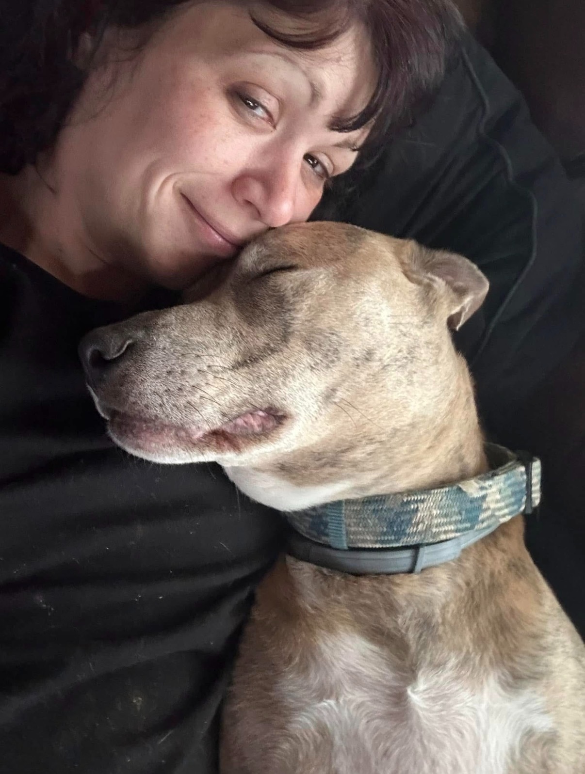 Save Blu: Becky’s Beloved Rescue Dog campaign photo, 2 of 7
