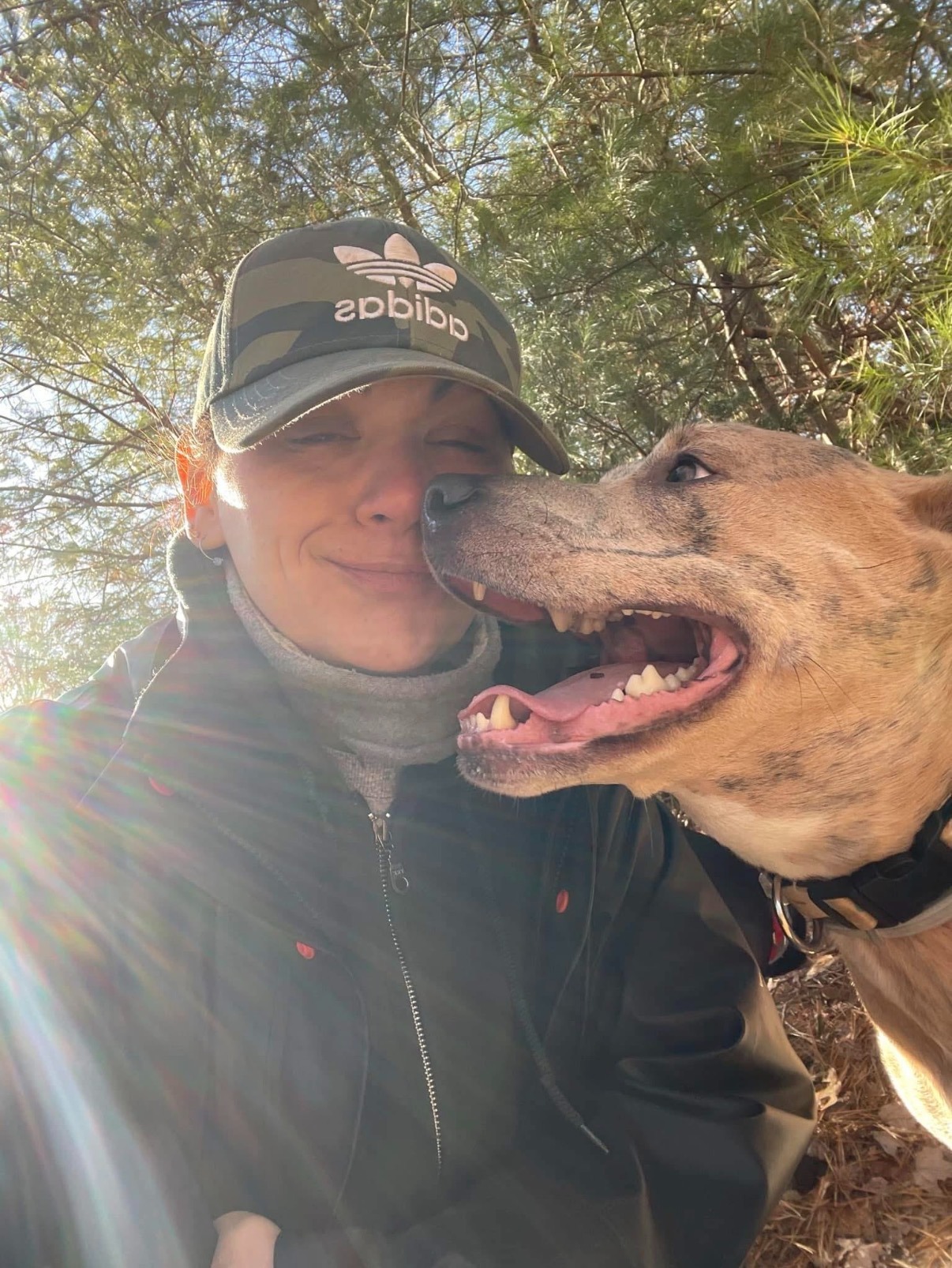 Save Blu: Becky’s Beloved Rescue Dog campaign photo, 5 of 7
