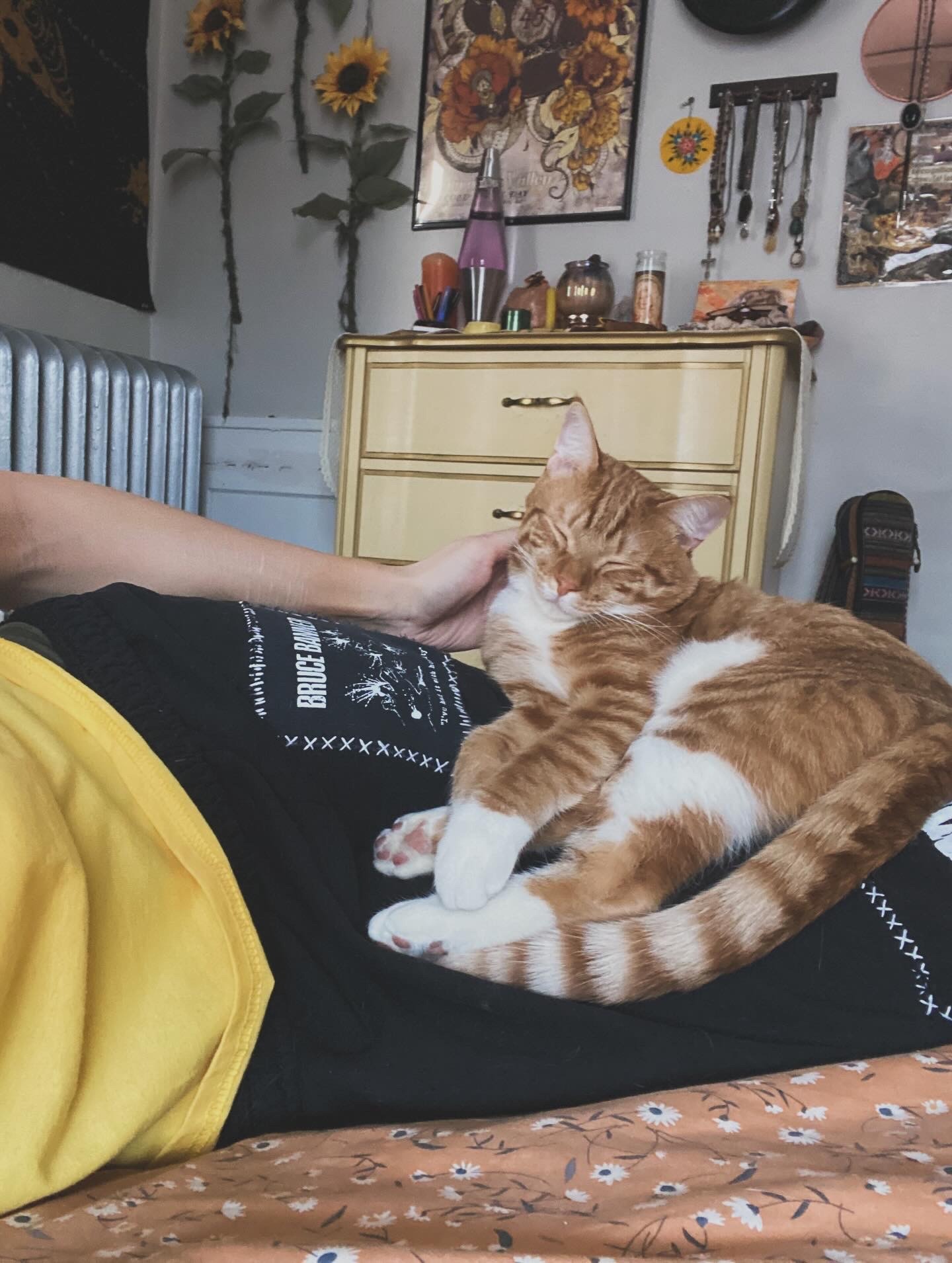 Fundraiser by Juliet D : Help Juliet & Cats Stay Safe and Afloat