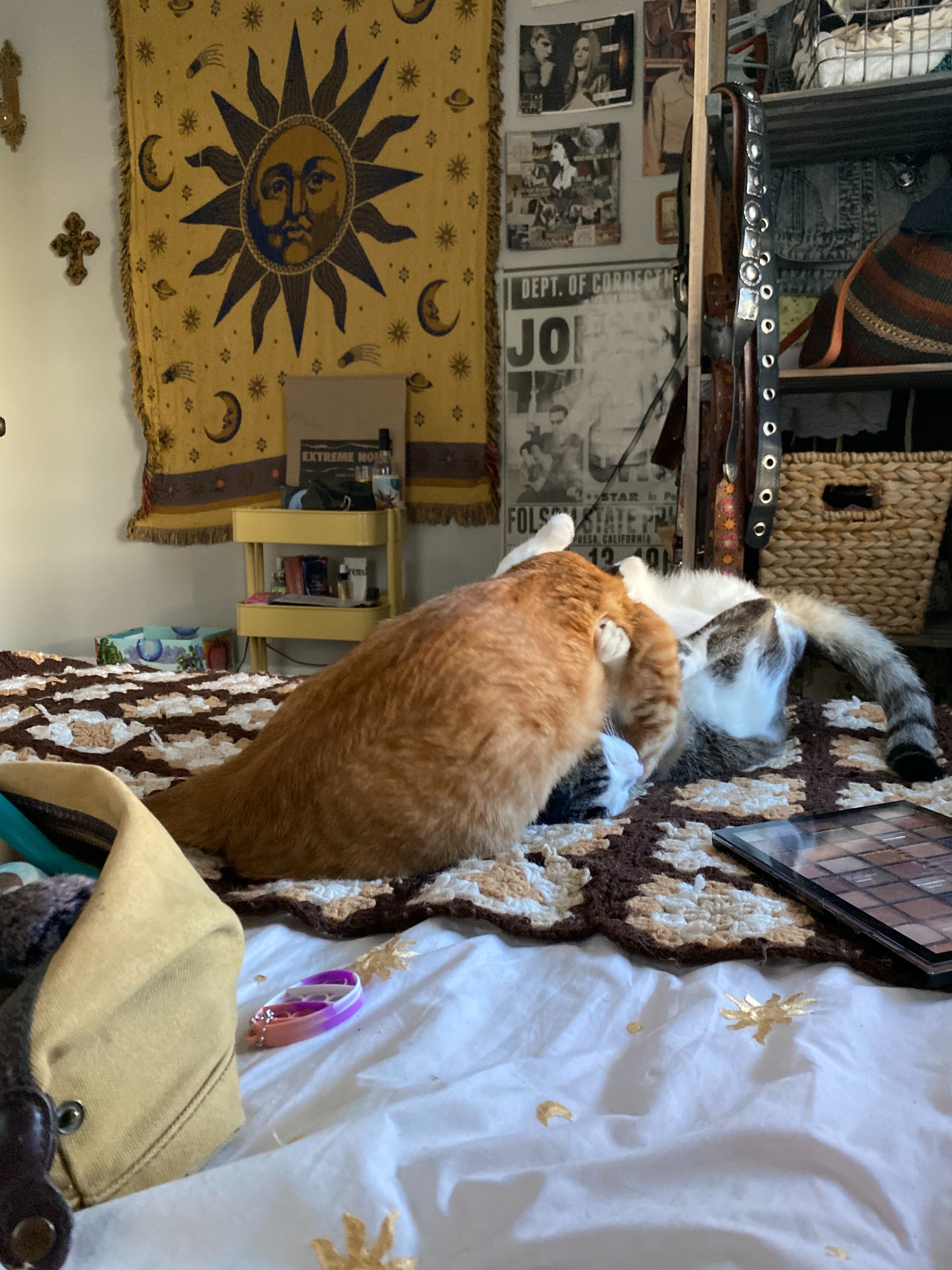 Fundraiser by Juliet D : Help Juliet & Cats Stay Safe and Afloat