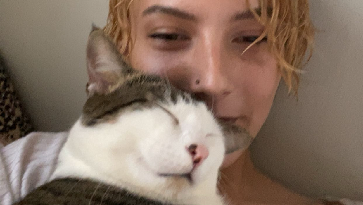Fundraiser by Juliet D : Help Juliet & Cats Stay Safe and Afloat