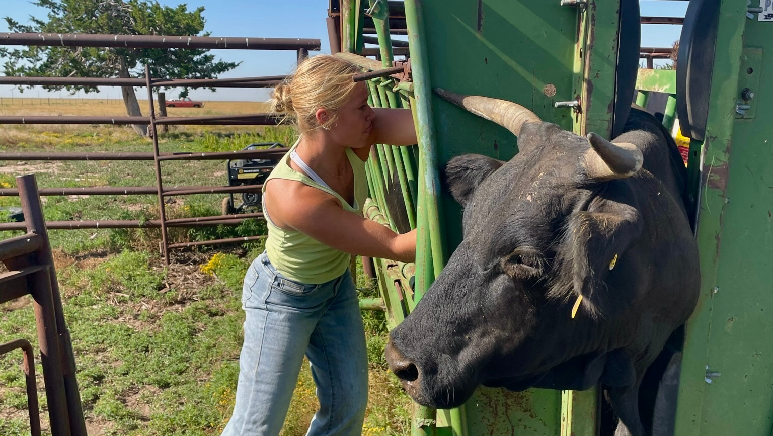 Helping Animals & Communities in Costa Rica! photo