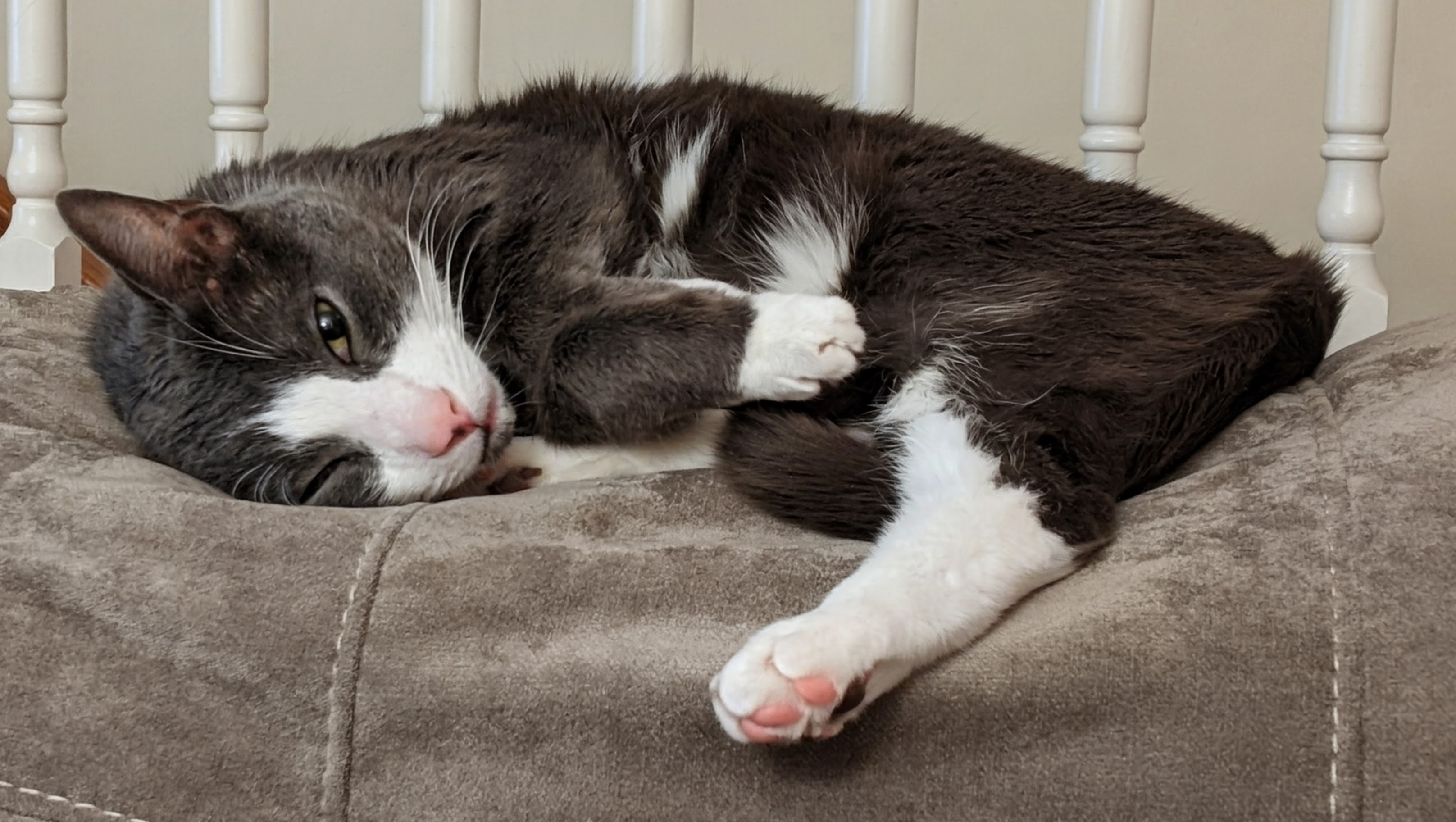 Support Preston's Urgent Medical Care photo