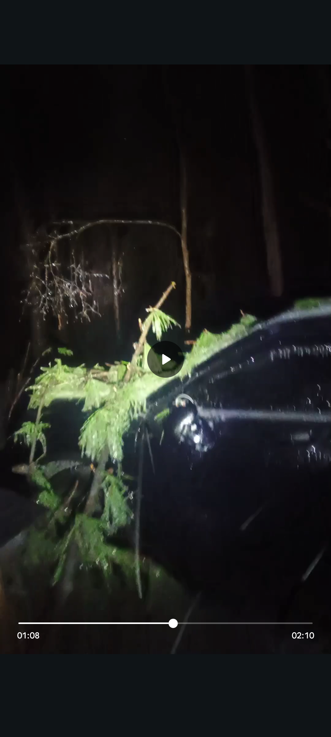 Help Our Family Recover After Ice Storm campaign photo, 6 of 7