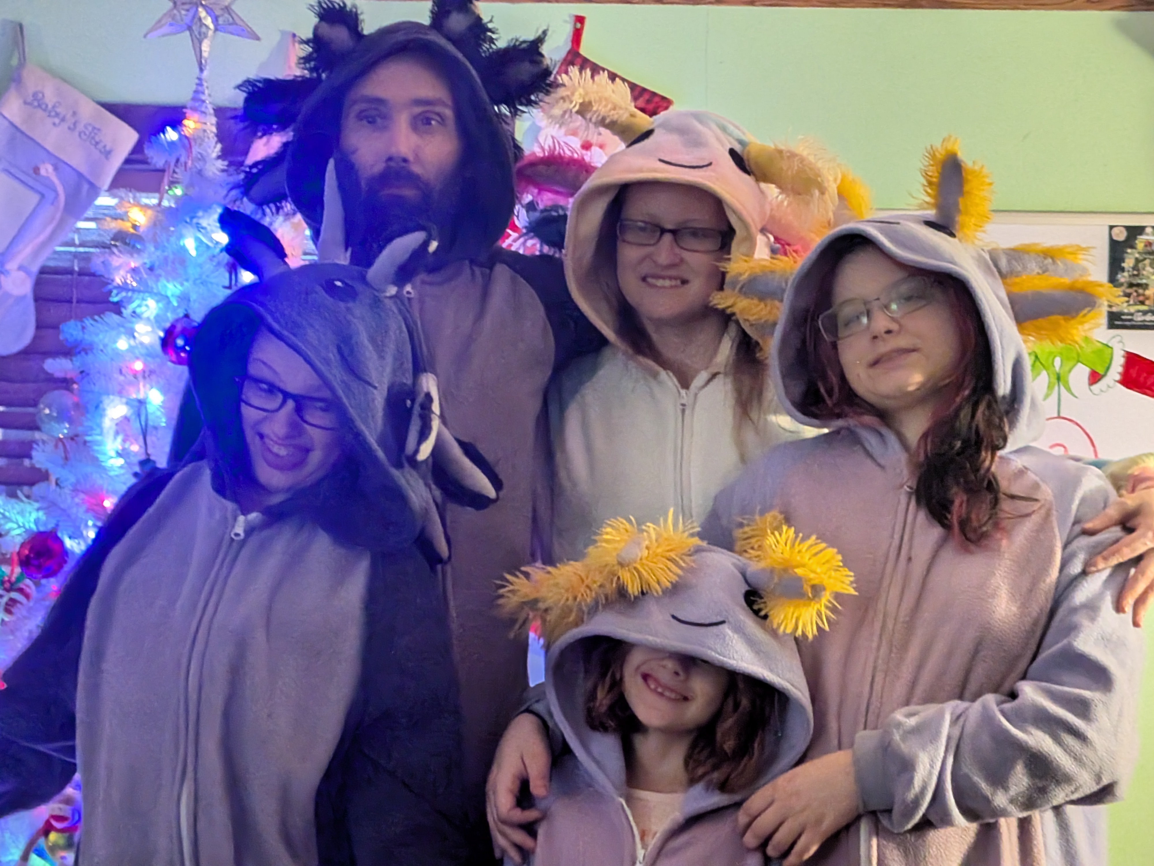 Help Our Family Recover After Ice Storm campaign photo, 2 of 7