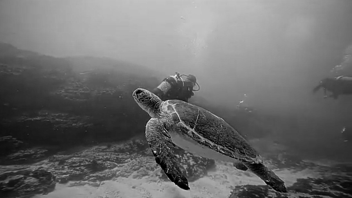 Community & Connection  photo