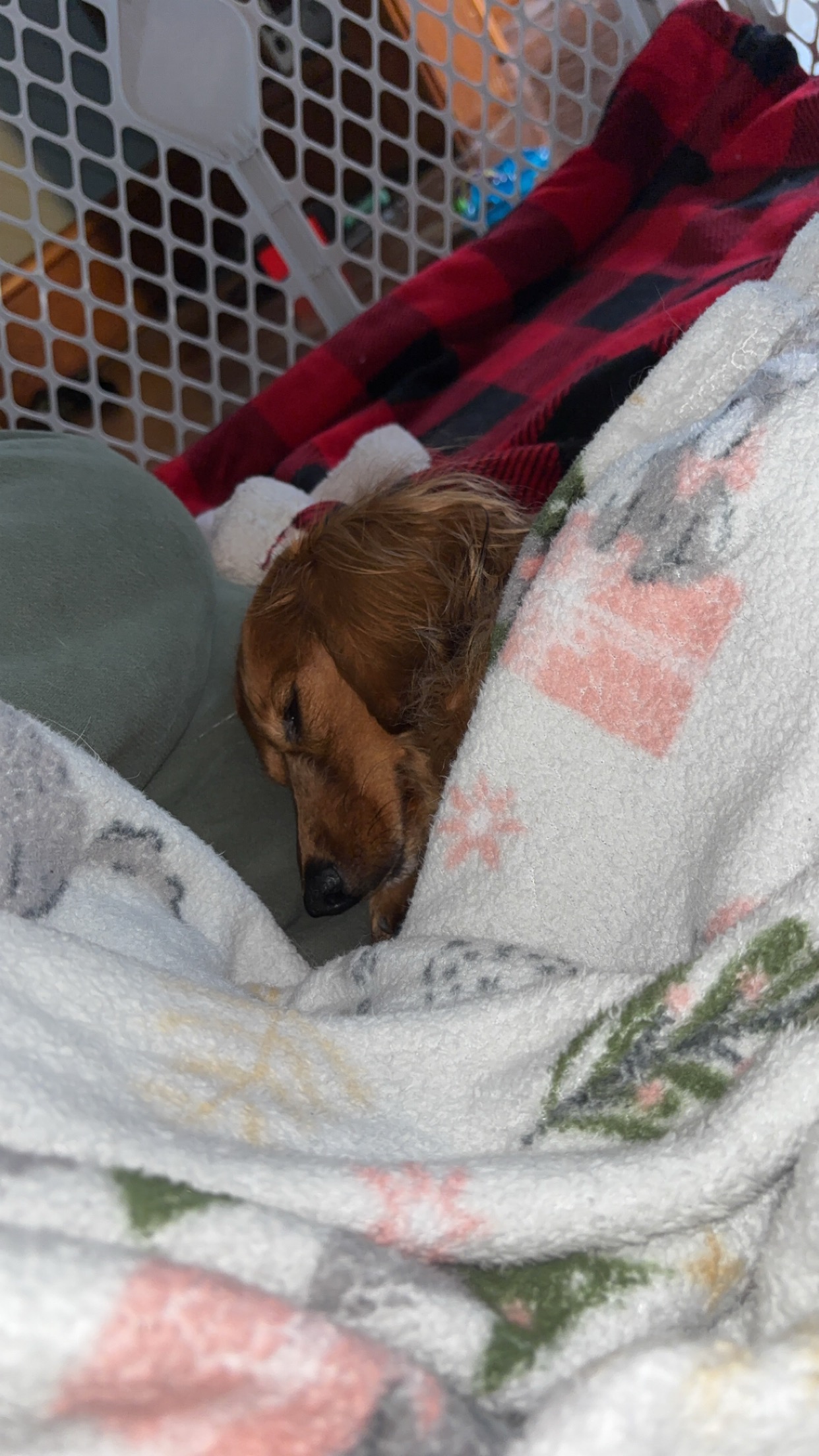 Help Oliver Get the Care He Needs campaign photo, 5 of 8