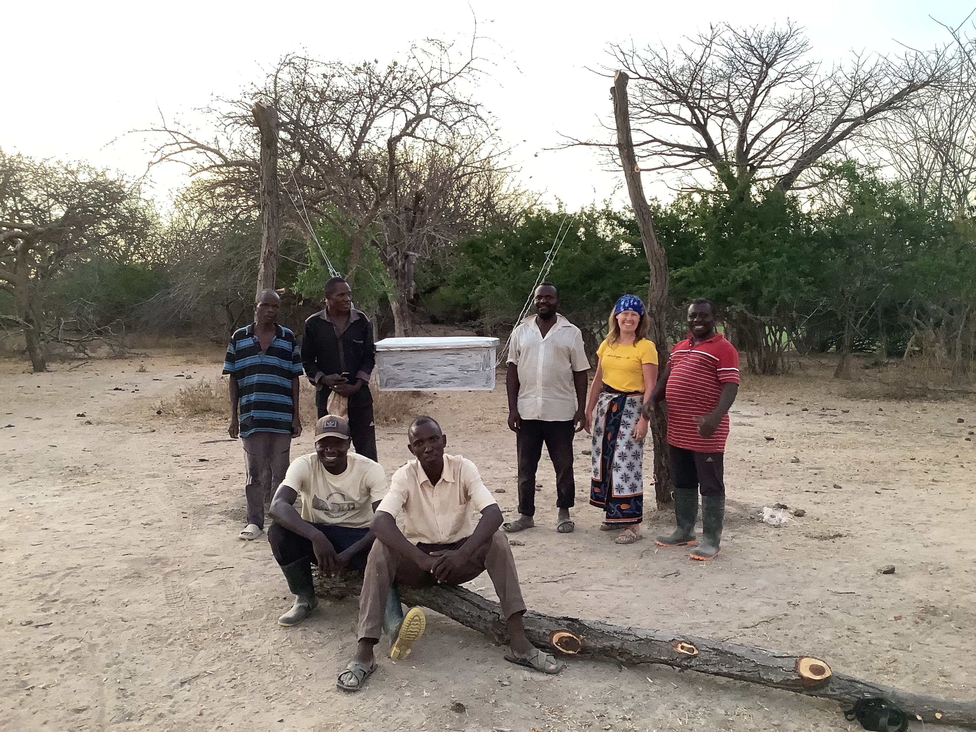 The Elephant and Bee Project, Tanzania campaign photo, 6 of 8